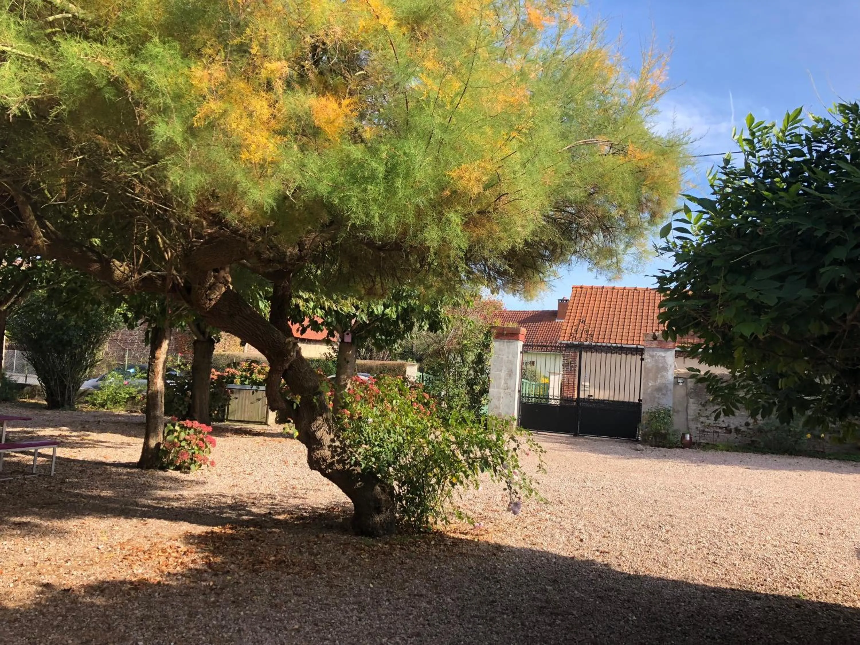 Balcony/Terrace in Au Presbytère de Saigneville