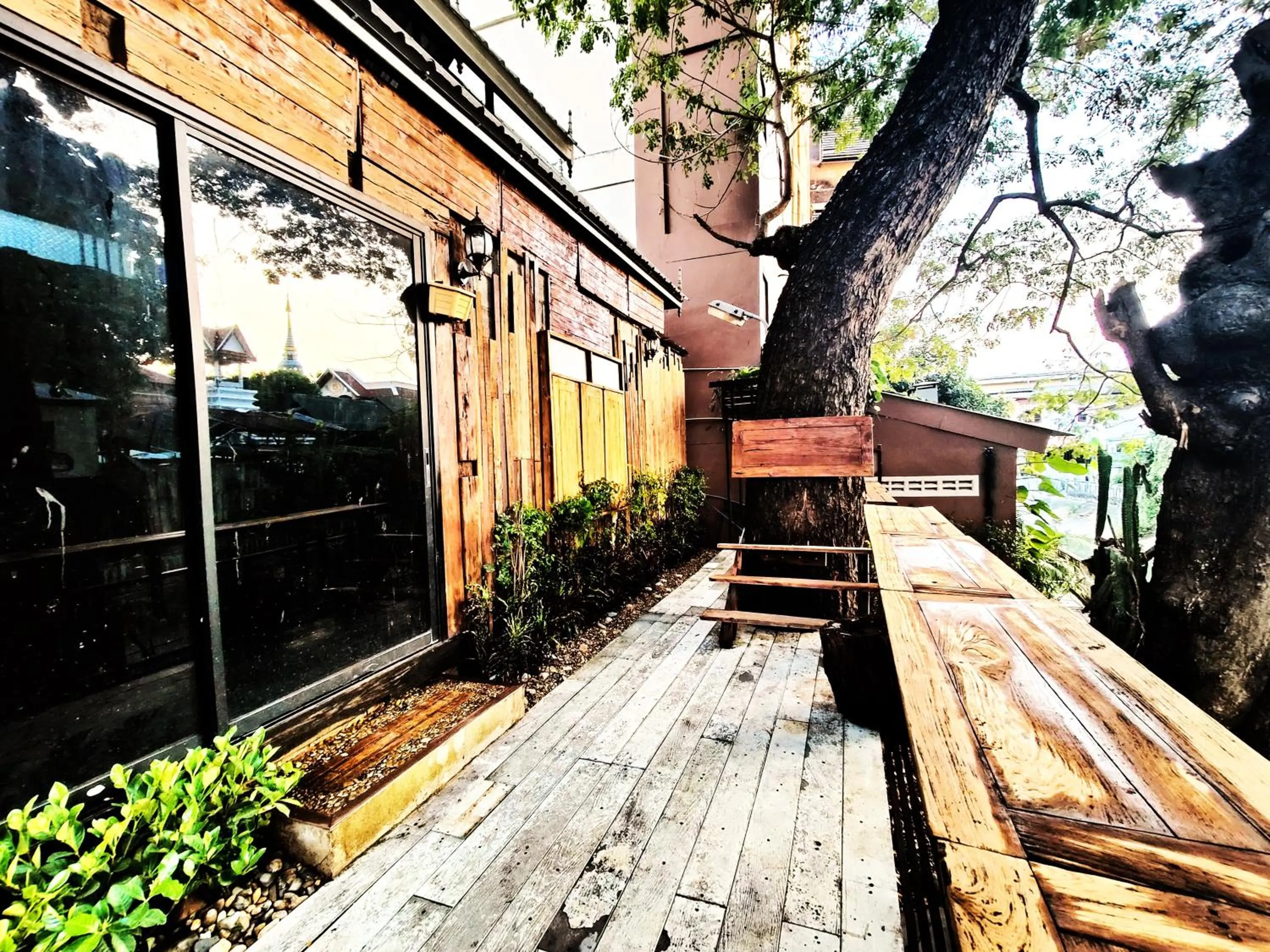 Garden in Panda House Chiang Mai