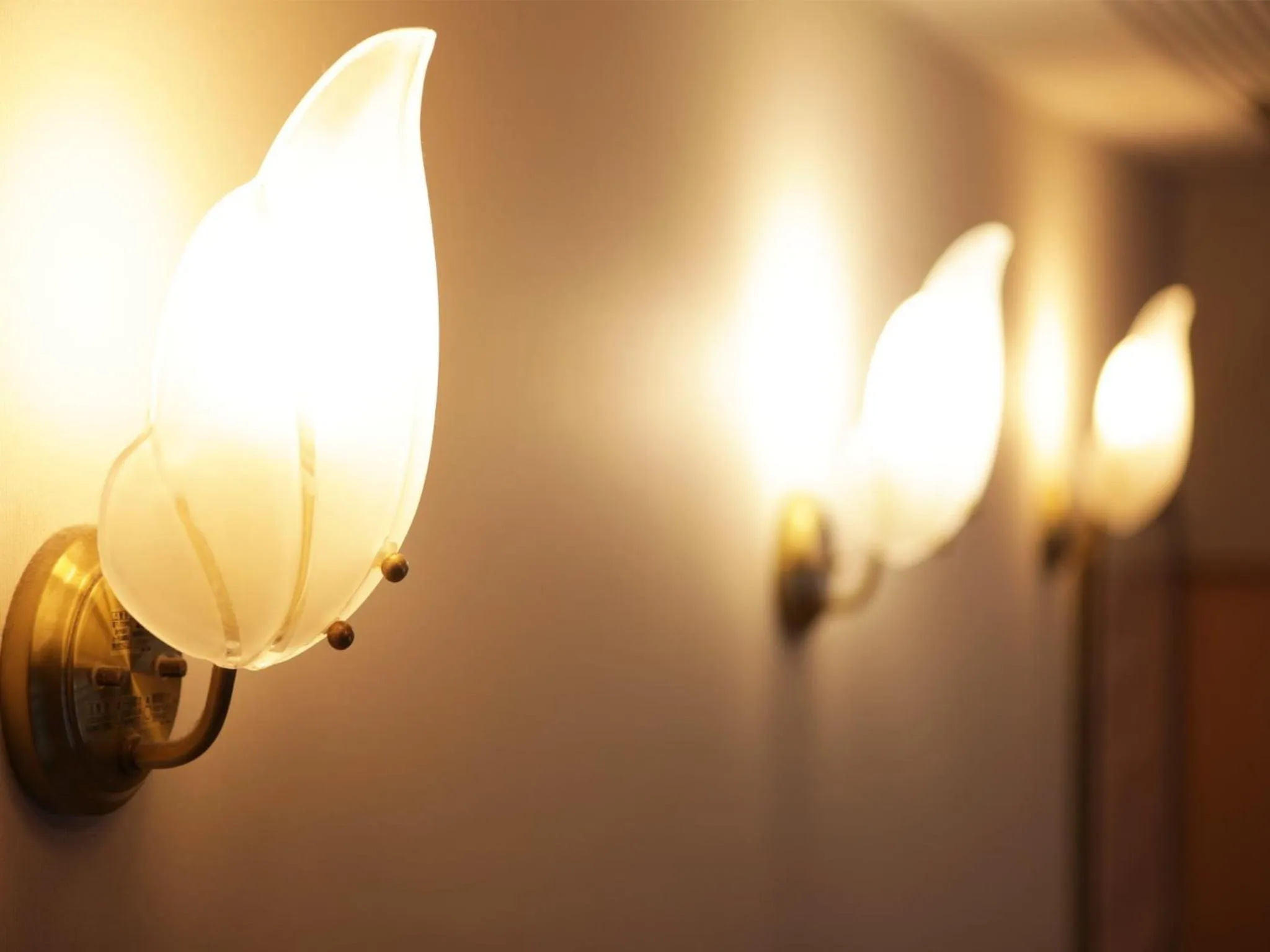 Decorative detail in Miyazaki Daiichi Hotel