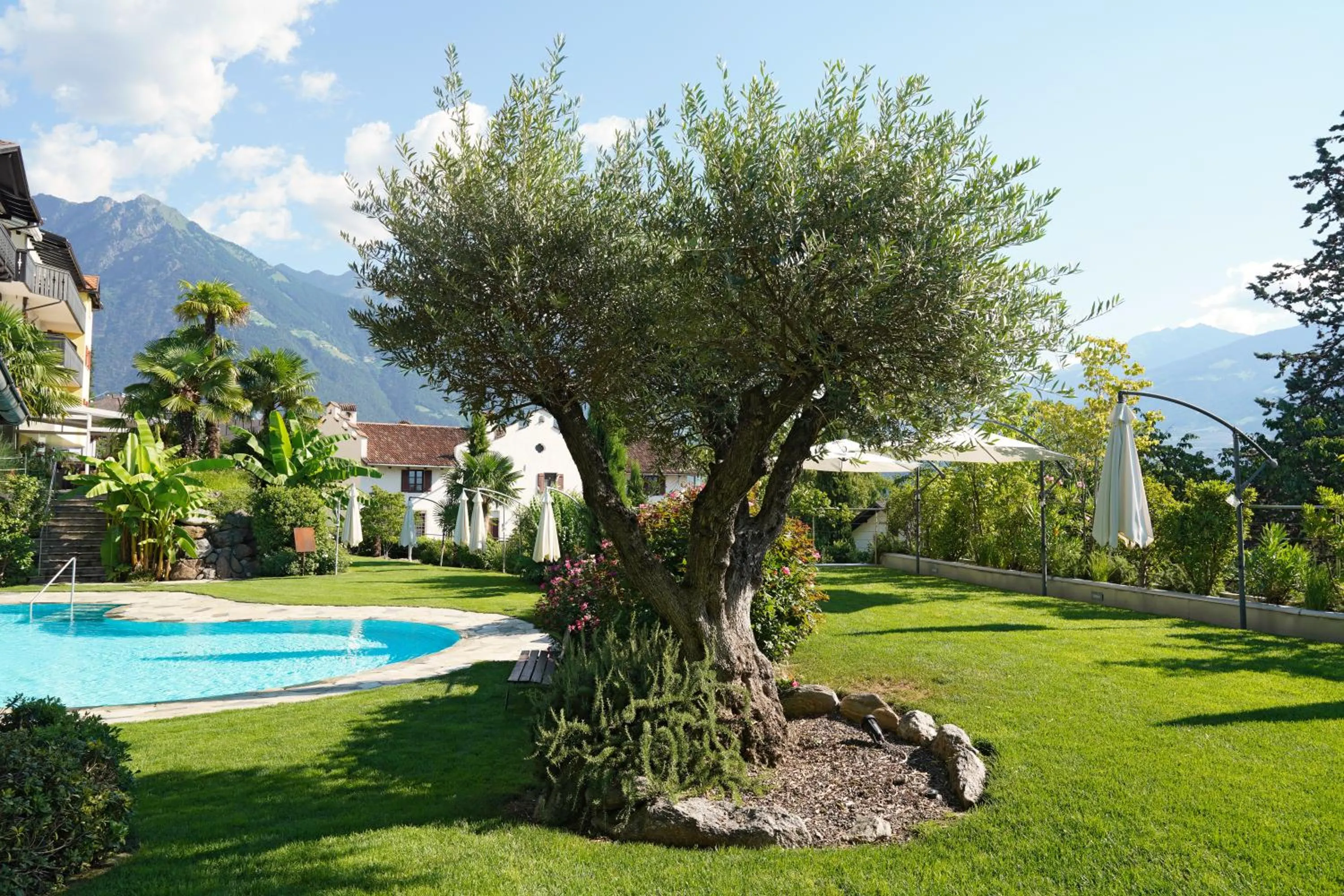 Garden in Hotel Sonnenhof