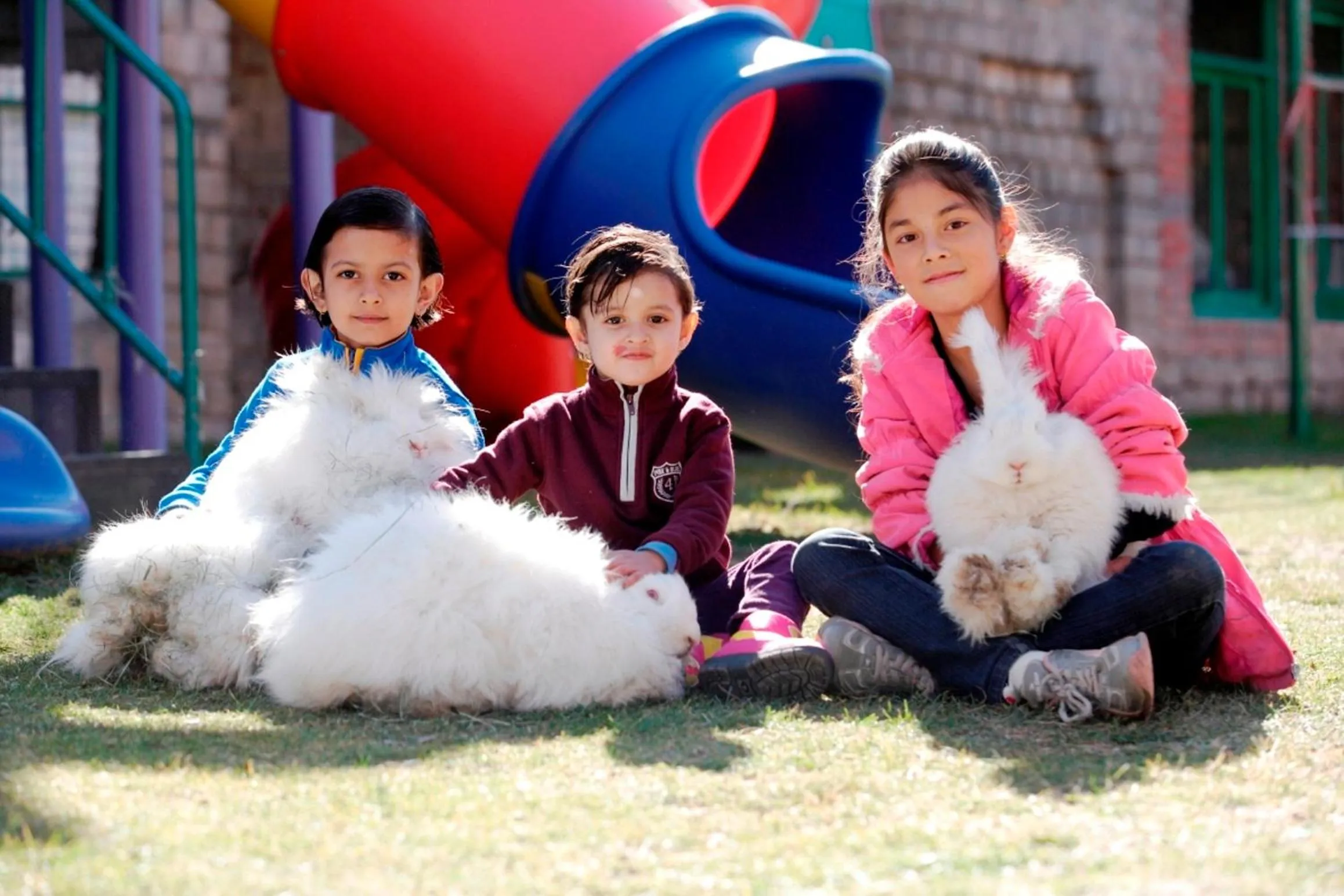 Animals in Manuallaya The Resort & Spa