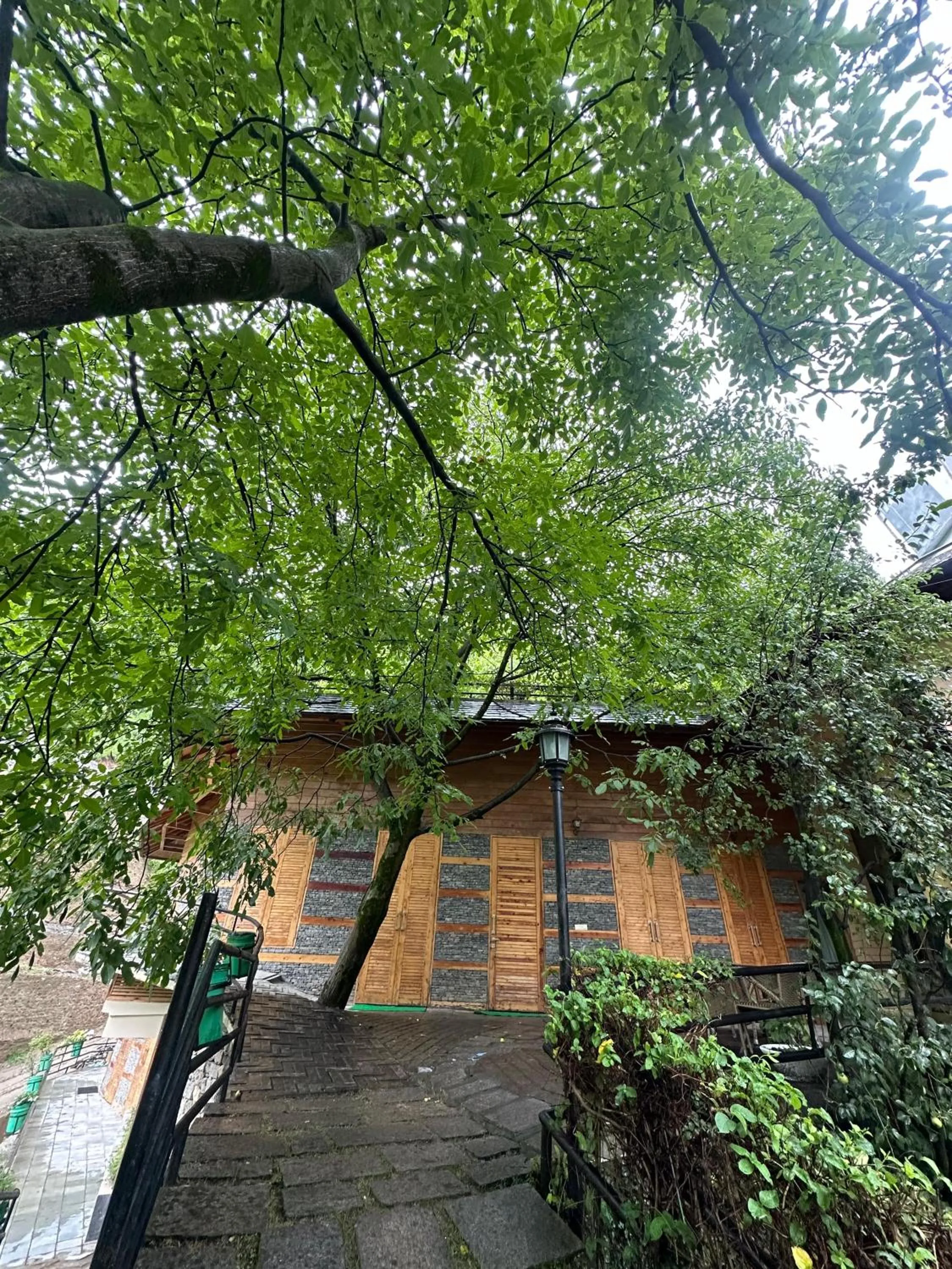 Garden in Manuallaya The Resort & Spa