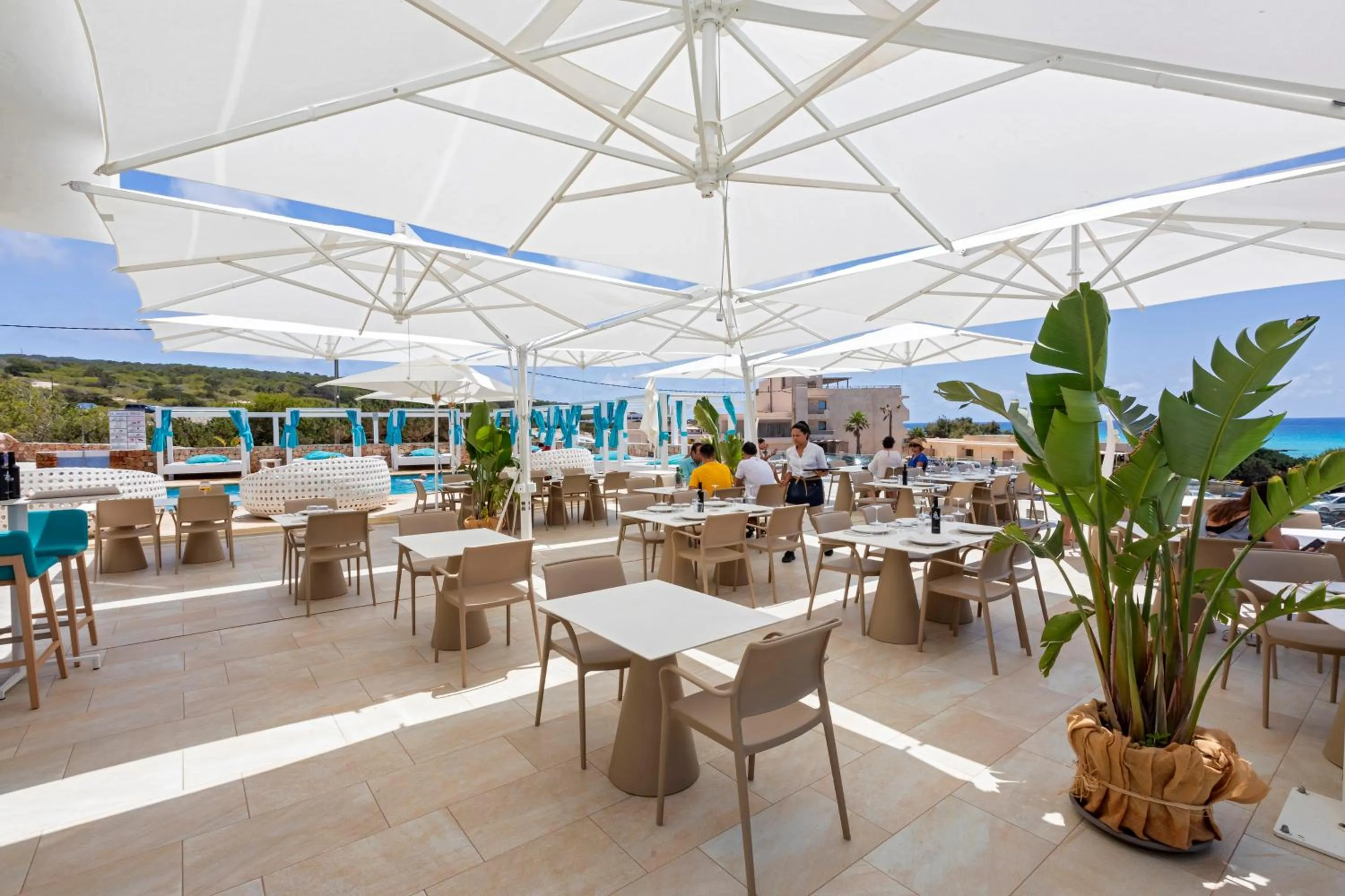 Restaurant/places to eat in Hotel Maysi