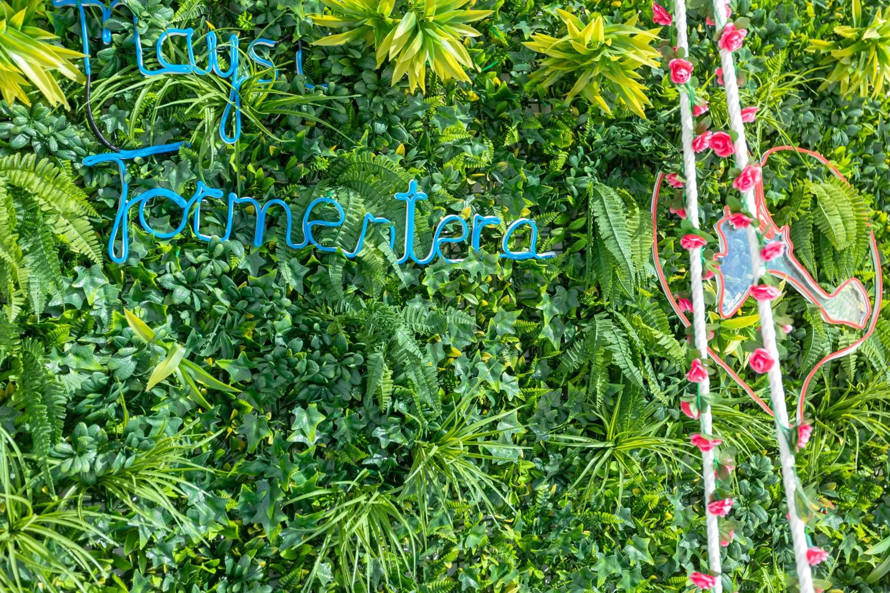 Spring in Hotel Maysi