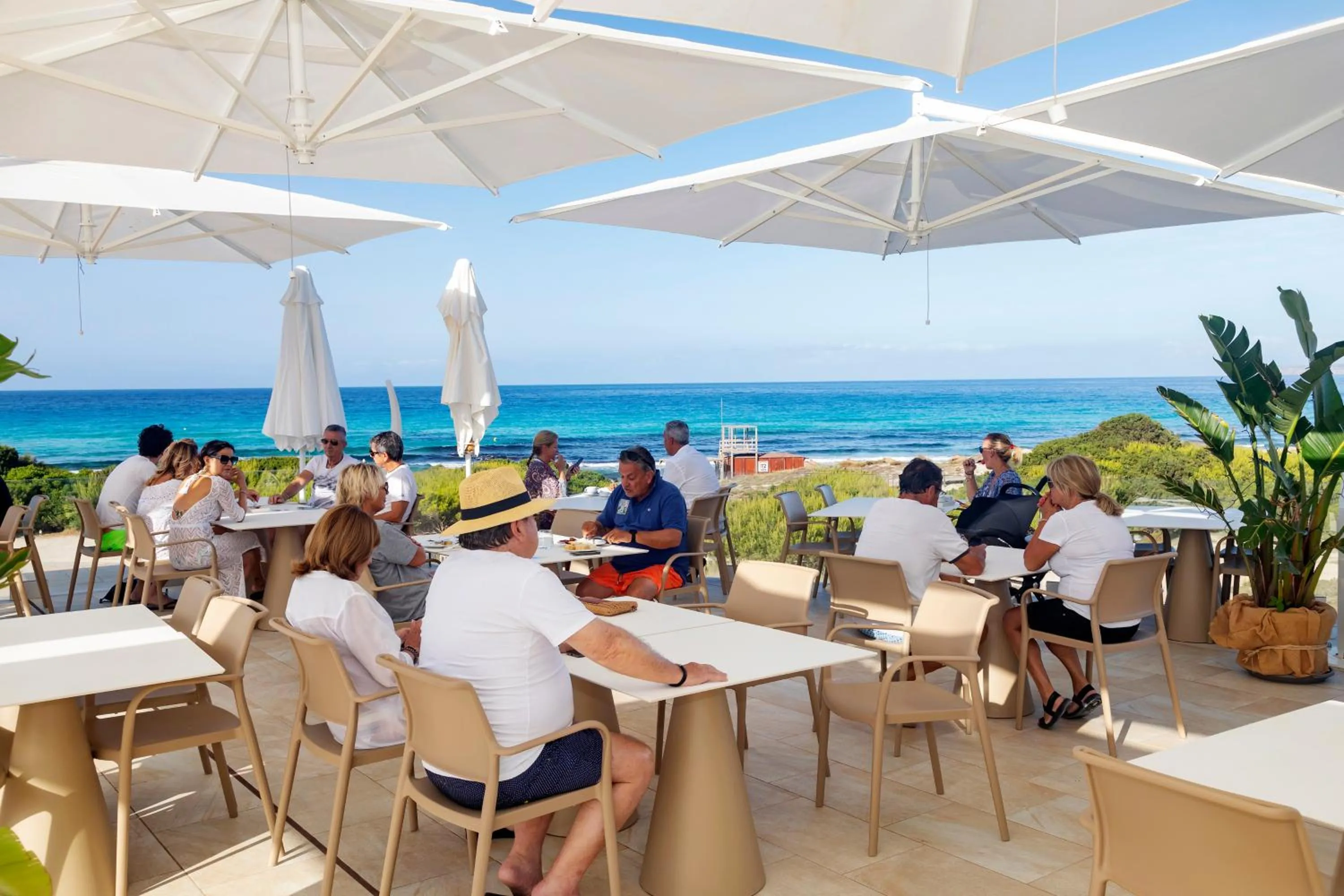 Restaurant/places to eat in Hotel Maysi