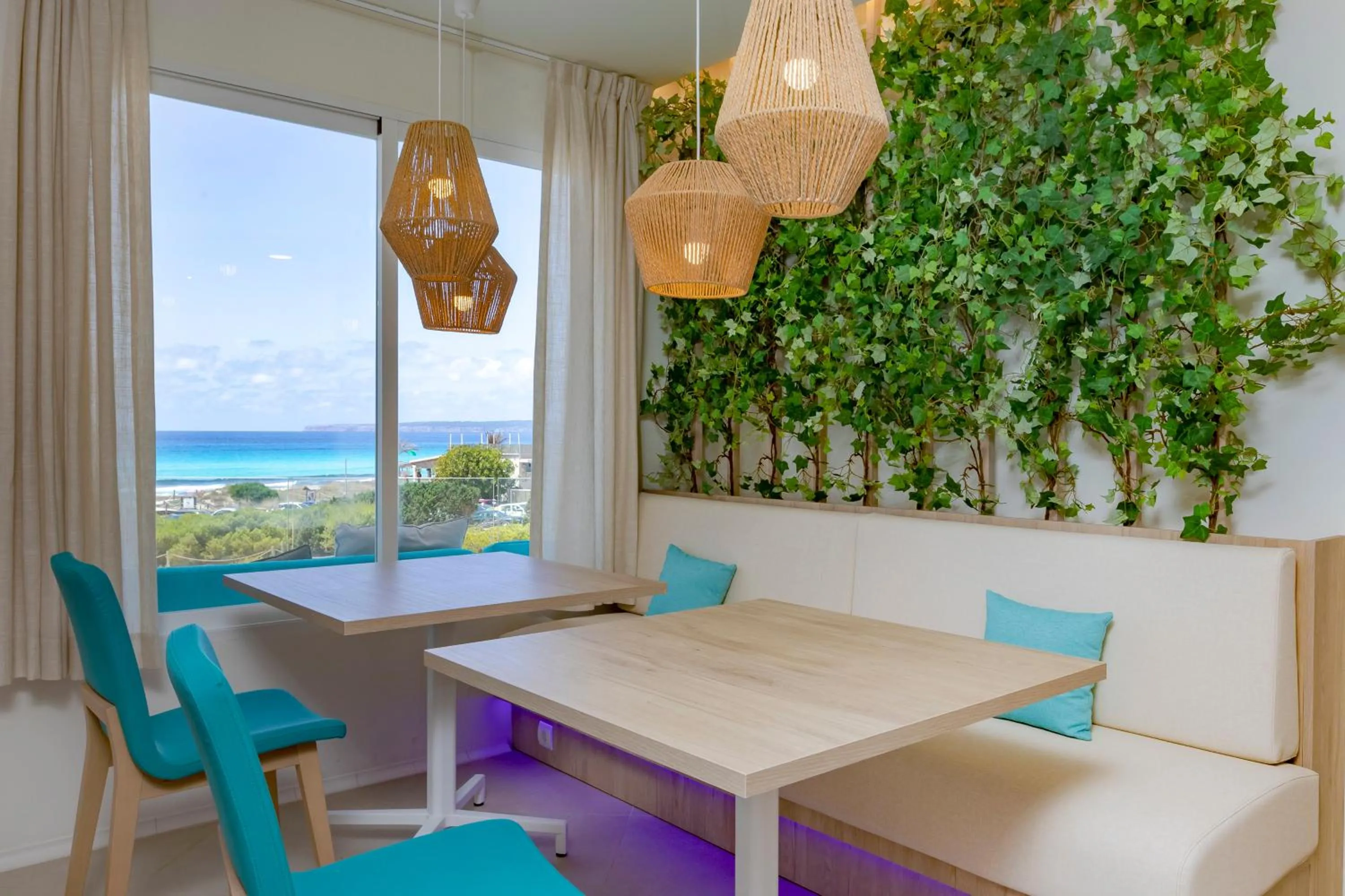 Restaurant/places to eat in Hotel Maysi