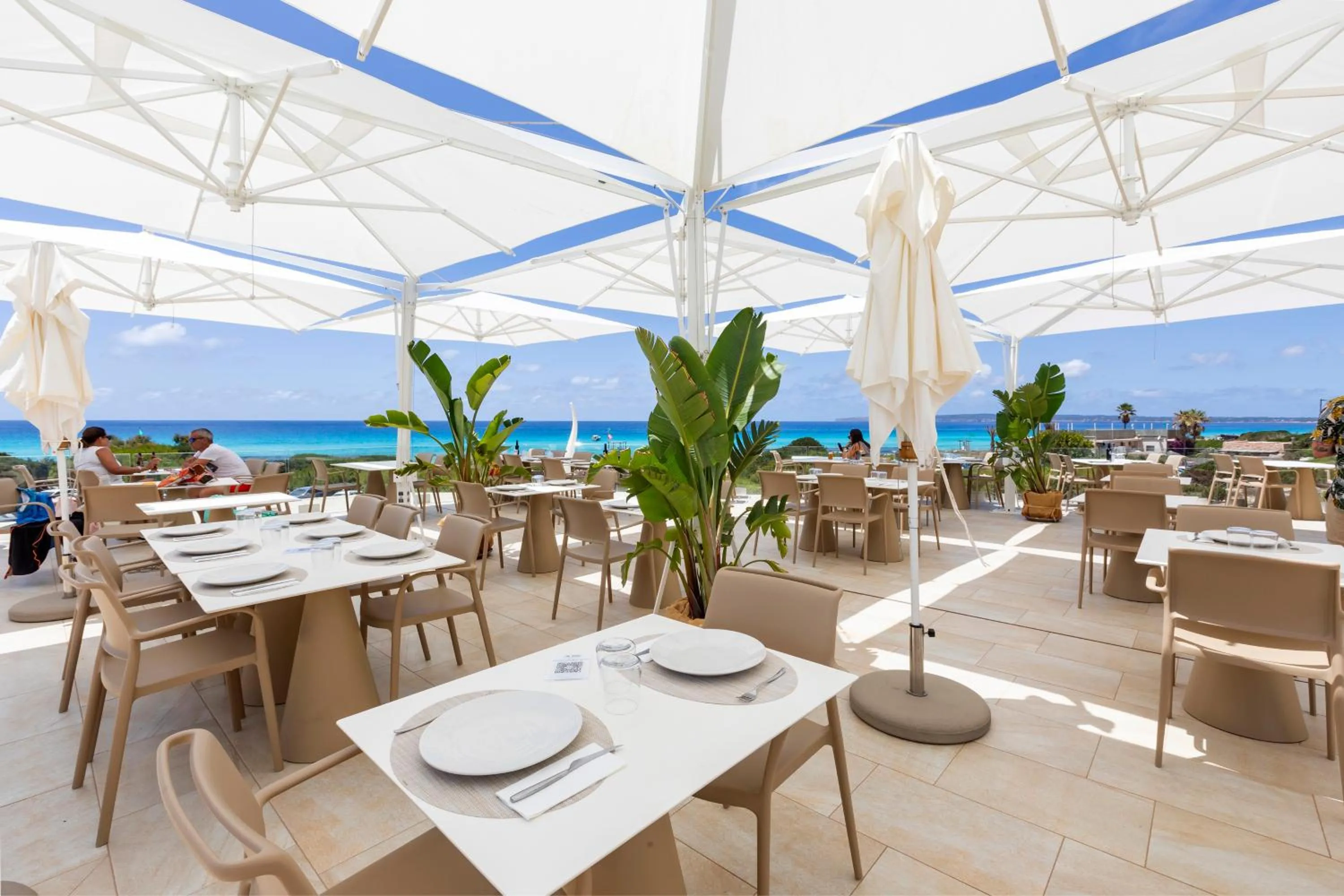 Restaurant/places to eat in Hotel Maysi