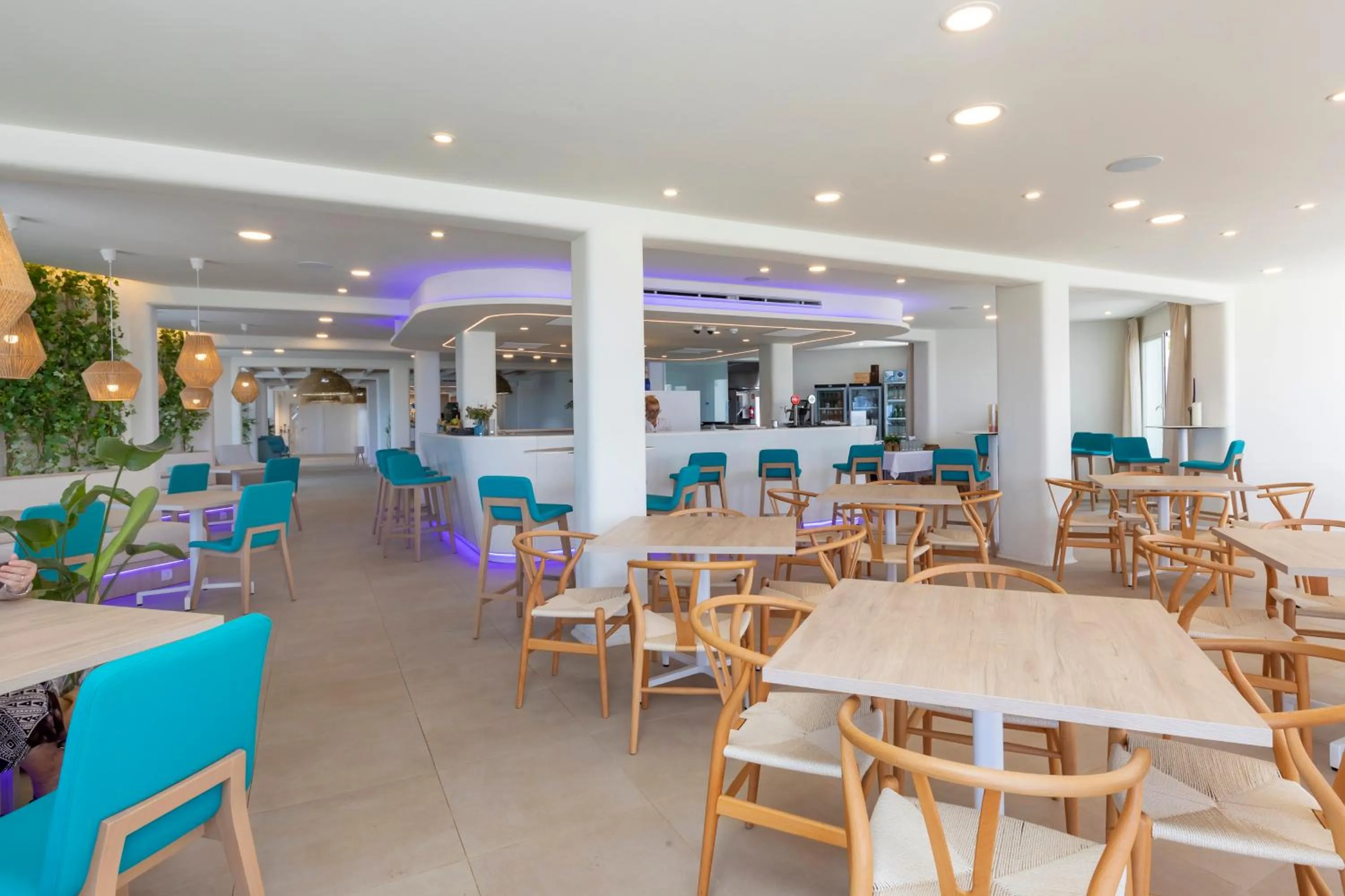 Lounge or bar in Hotel Maysi