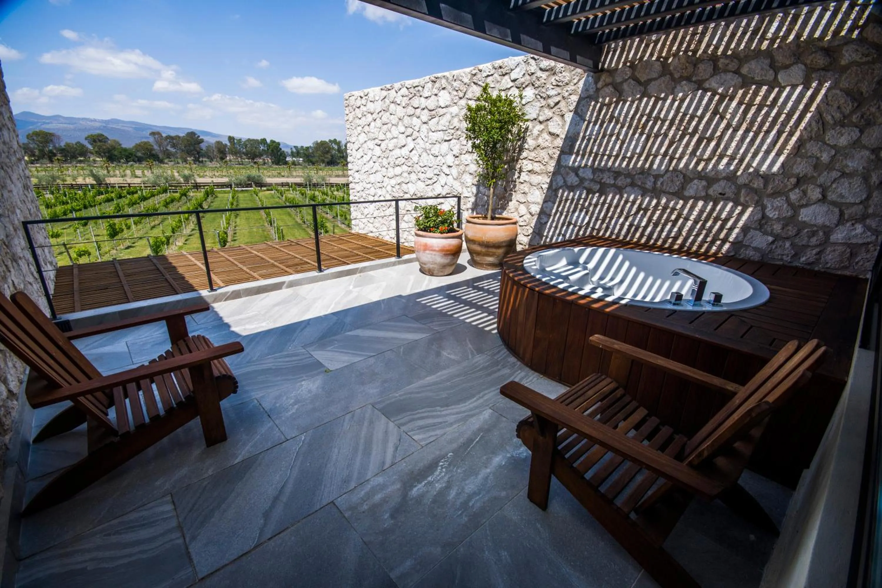 Viñedos San Francisco