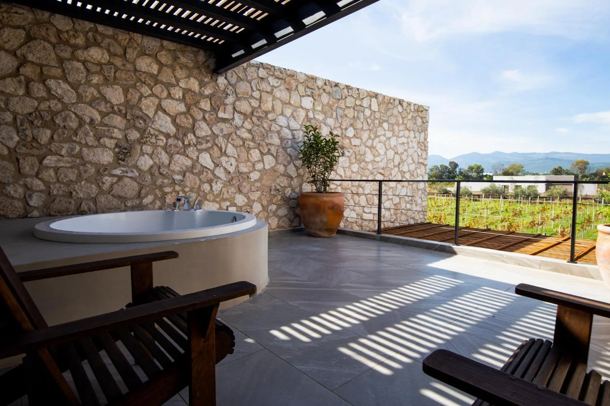 Viñedos San Francisco