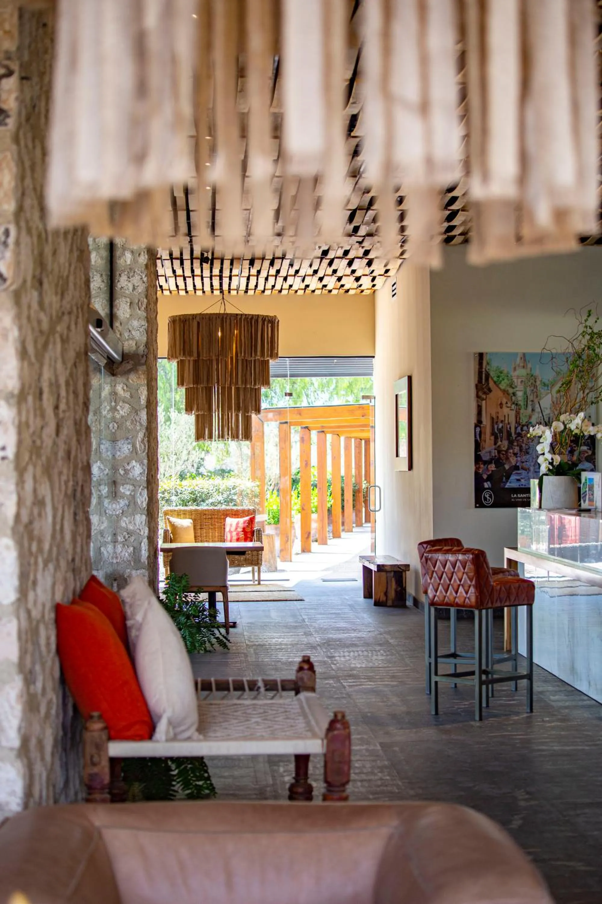 Viñedos San Francisco