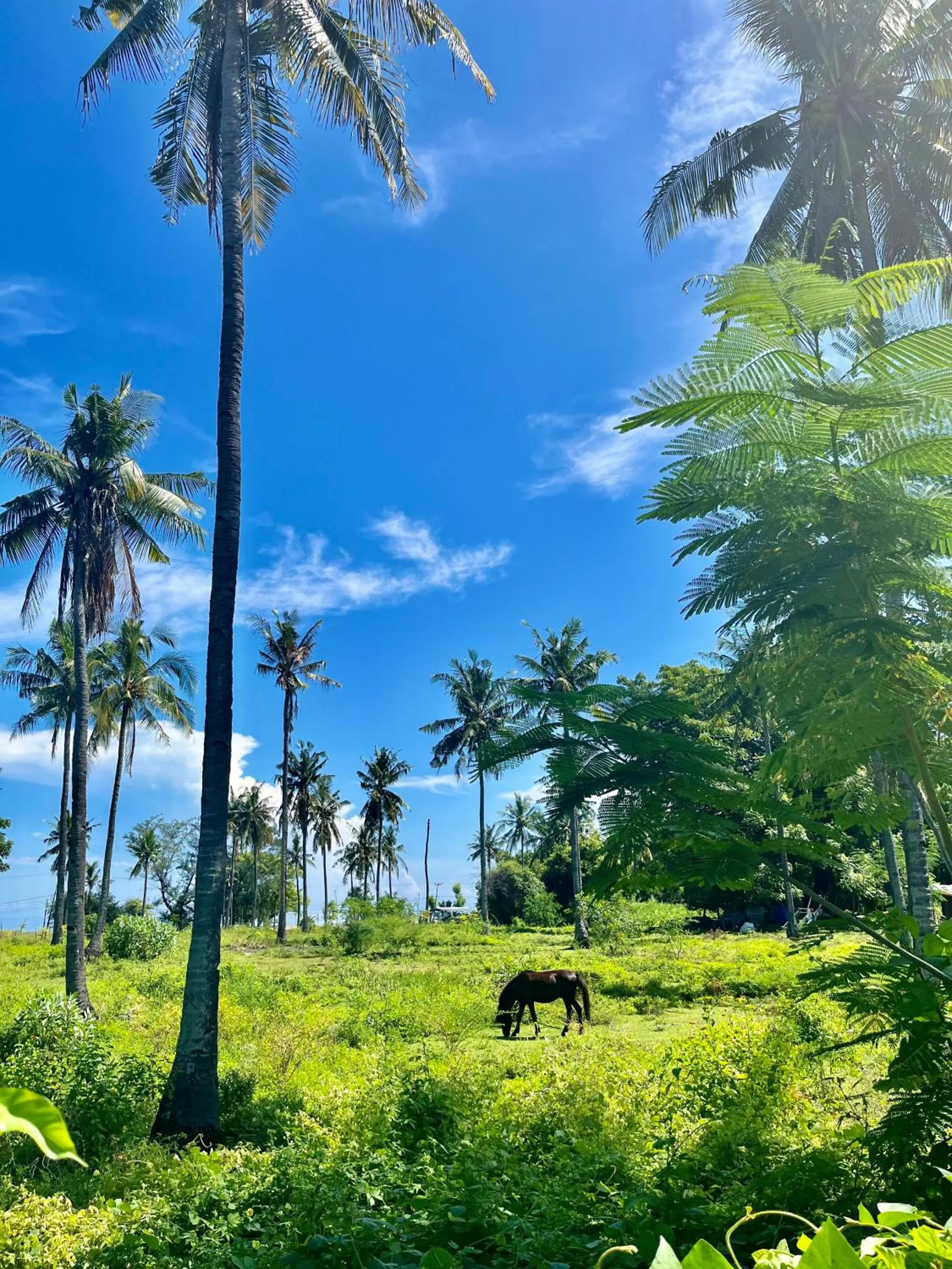 Natural landscape in GiliZen Resort - Private Pool Villas