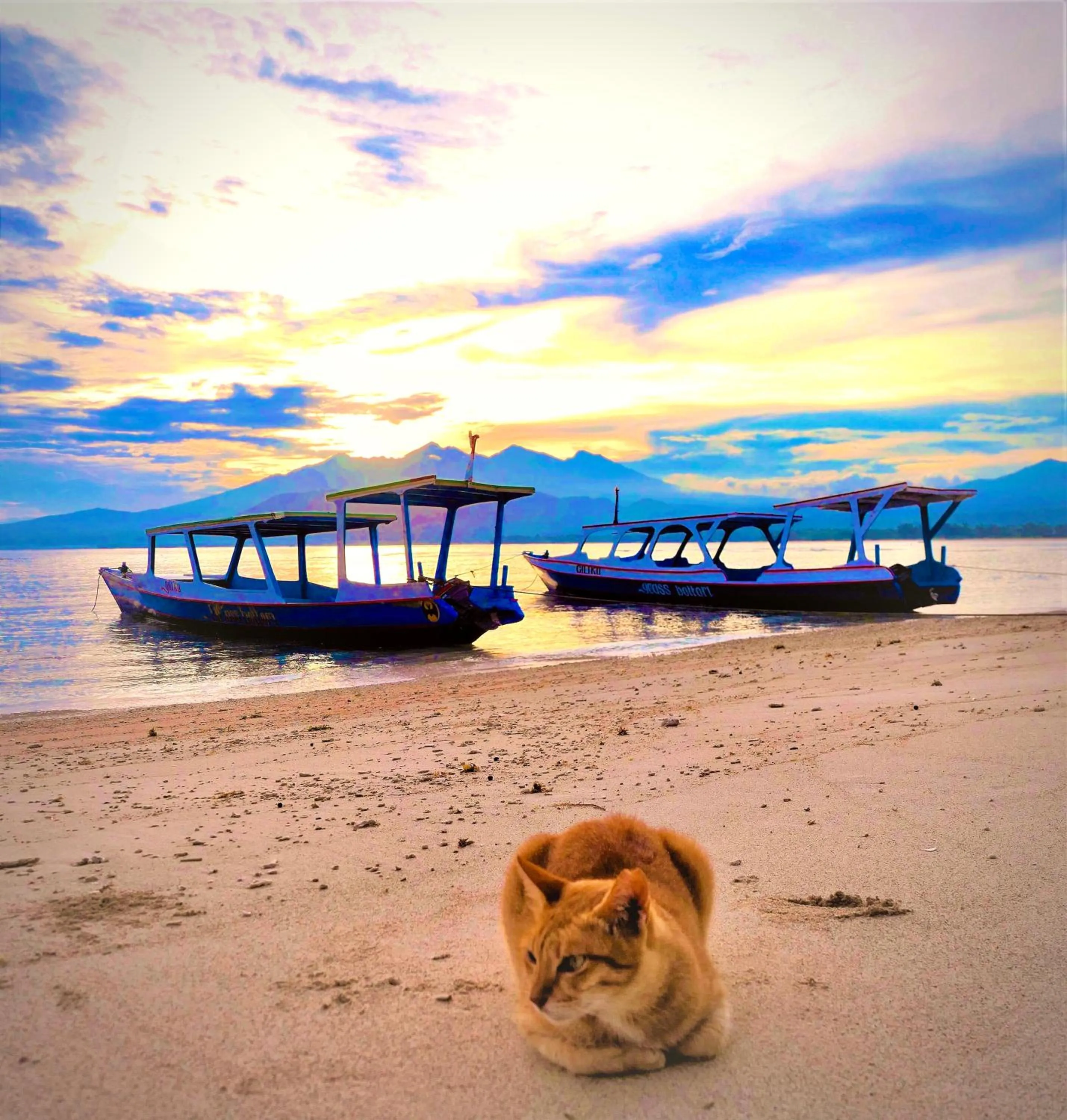 Beach in GiliZen Resort - Private Pool Villas