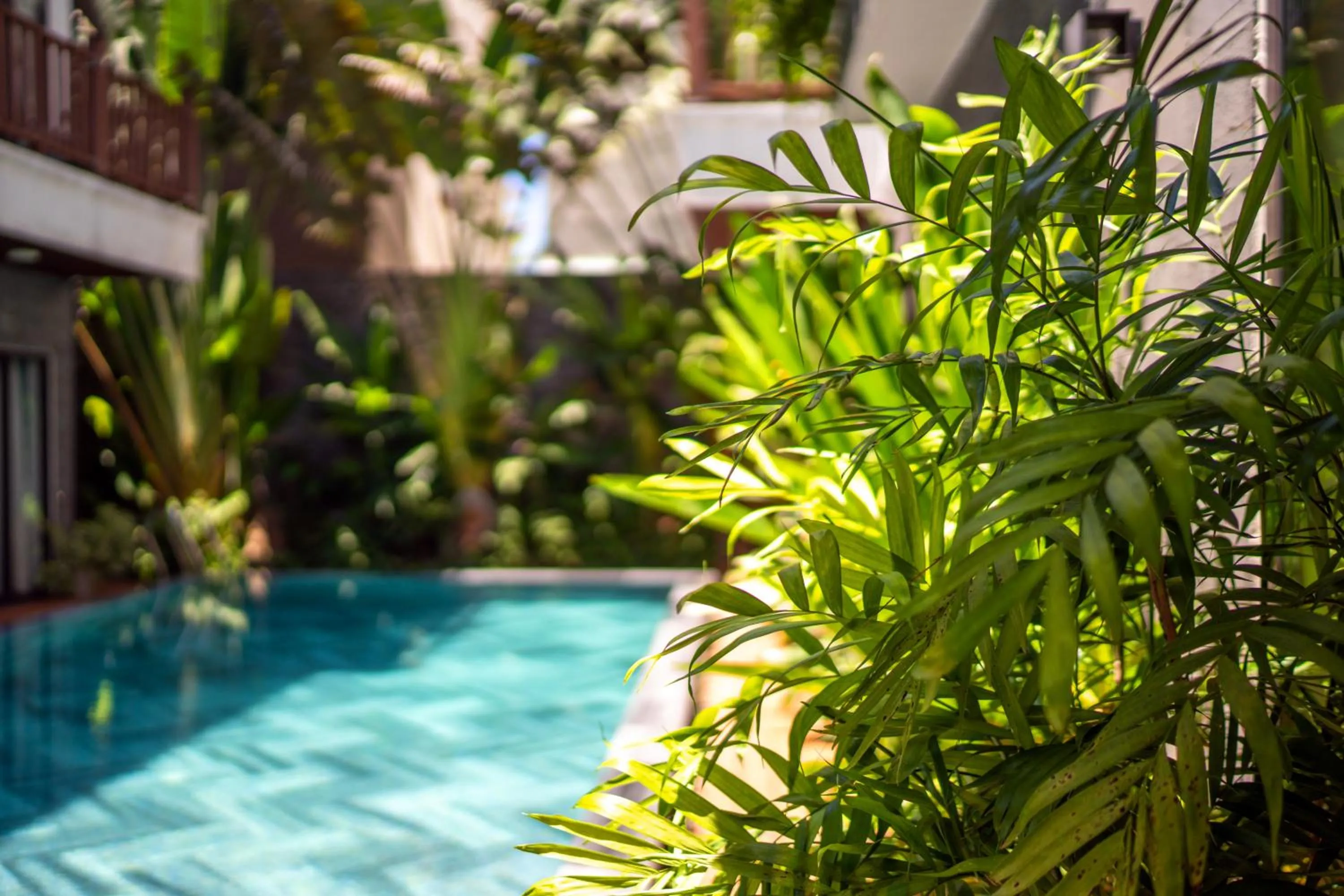 Swimming pool in December Hoi An Villa