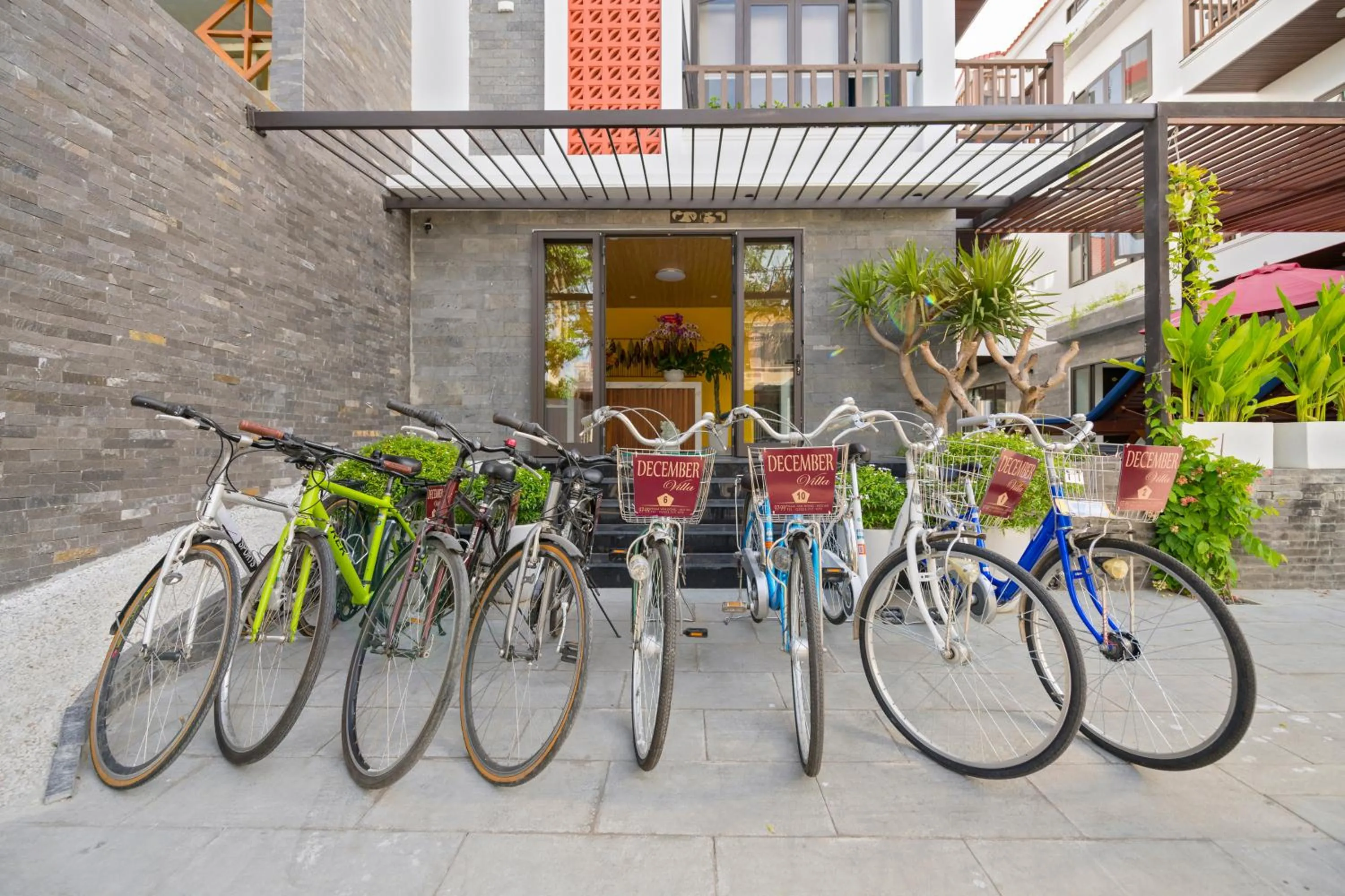 Other in December Hoi An Villa