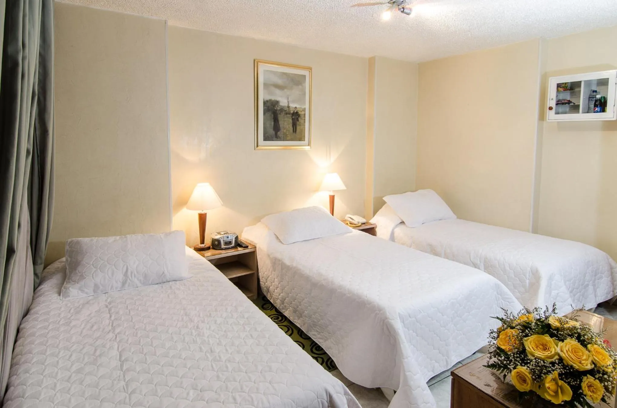 Photo of the whole room in Hotel Inter Bogotá