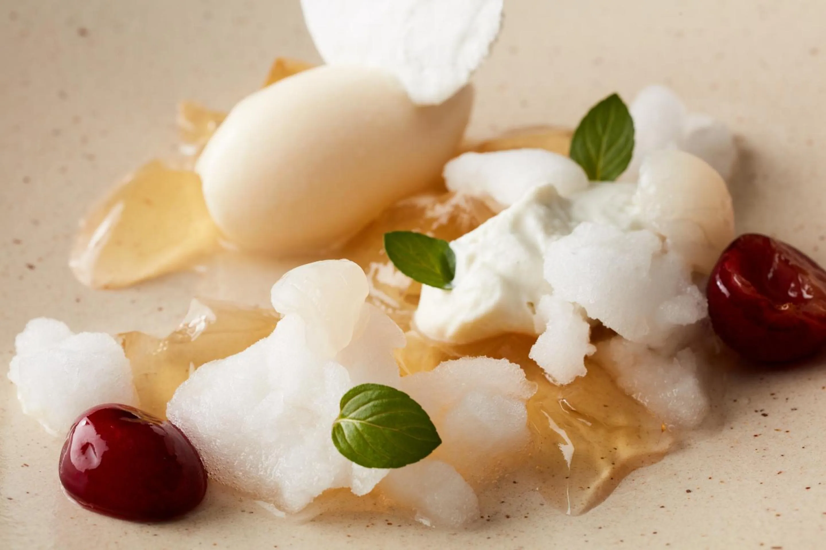 Restaurant/places to eat in Rembrandt Premium Fuji Gotenba