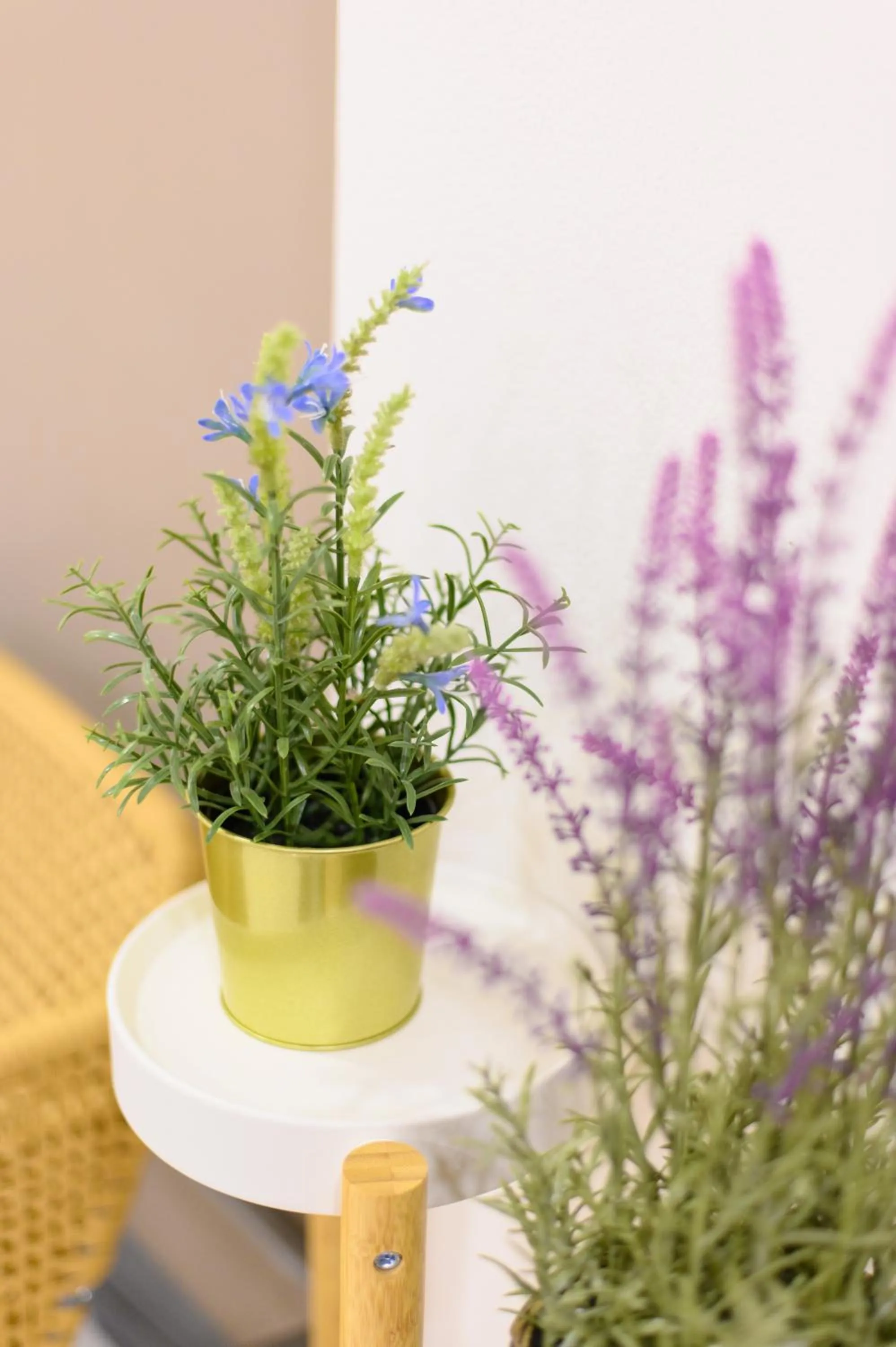 Property building in Jiang Mai 81