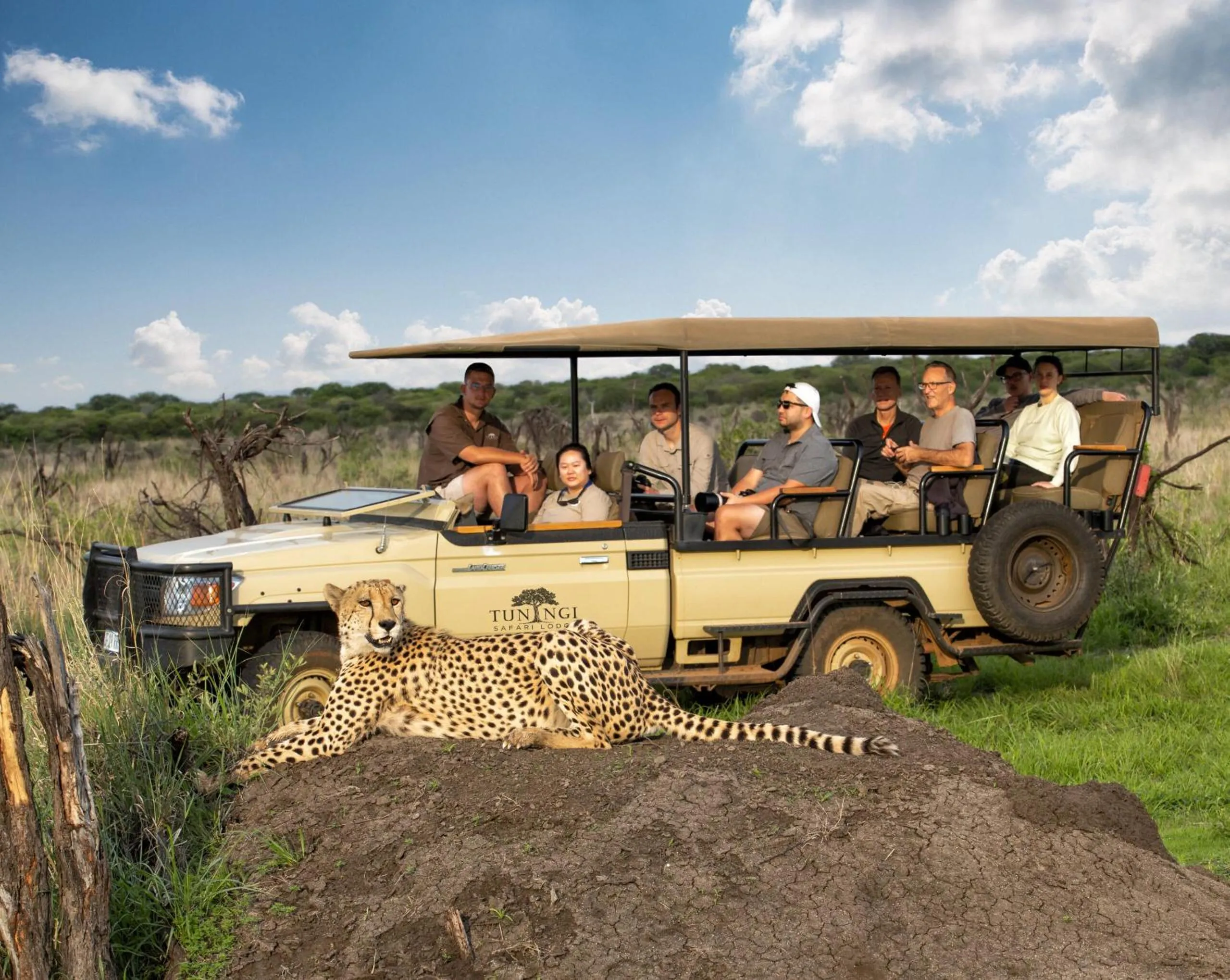 Animals in Tuningi Safari Lodge
