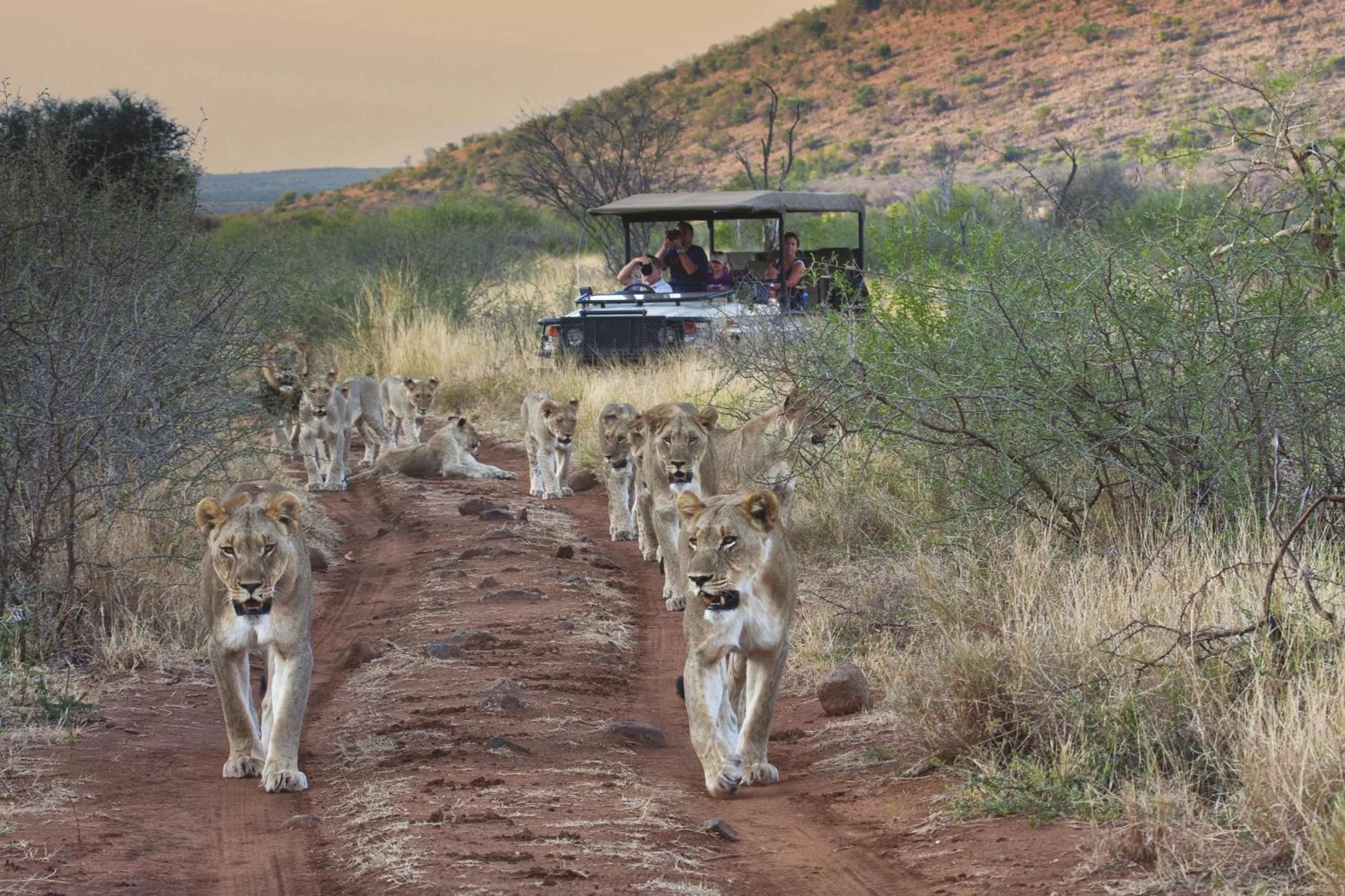 Activities in Tuningi Safari Lodge