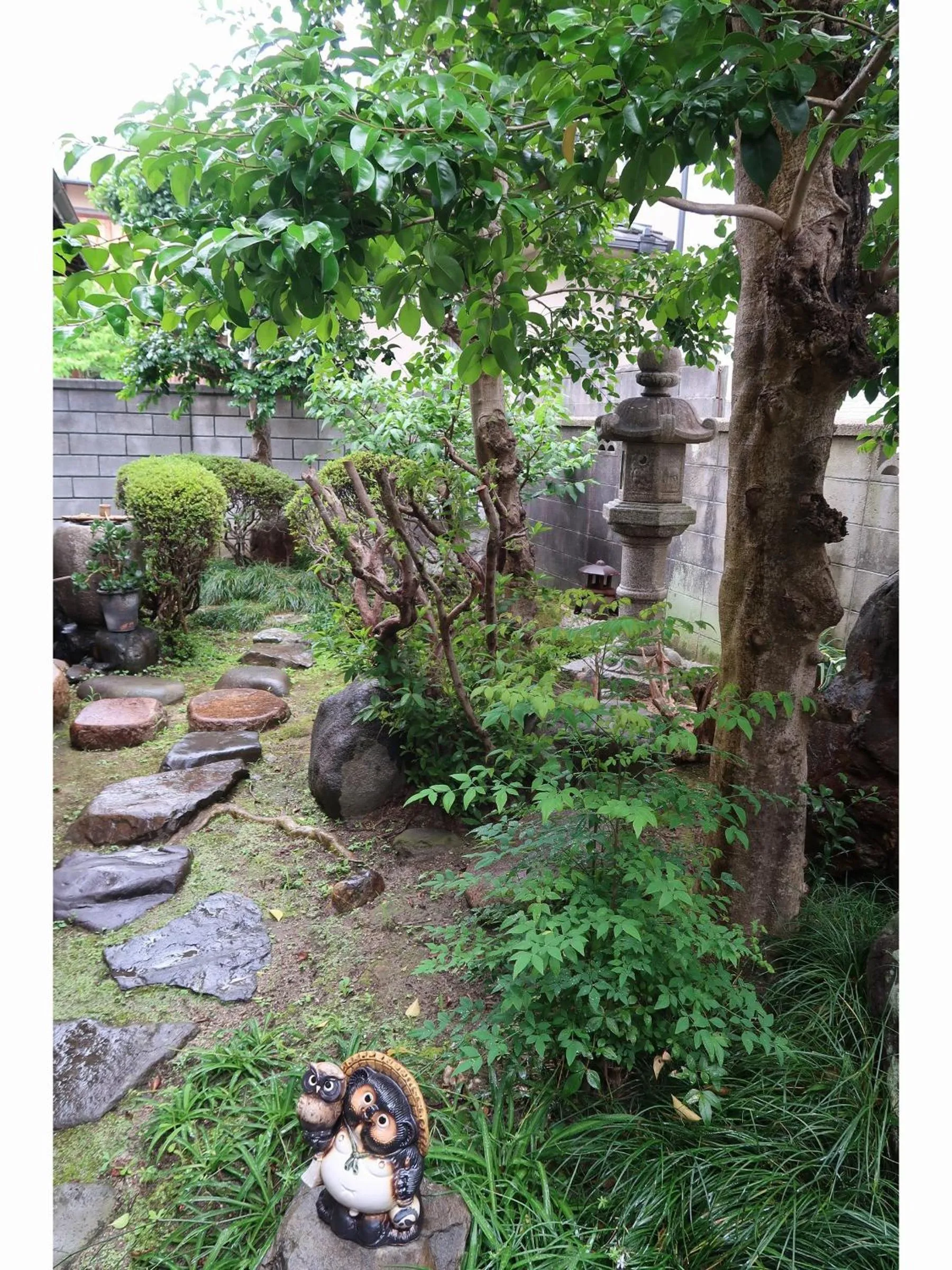 Garden in Uji Tea Inn