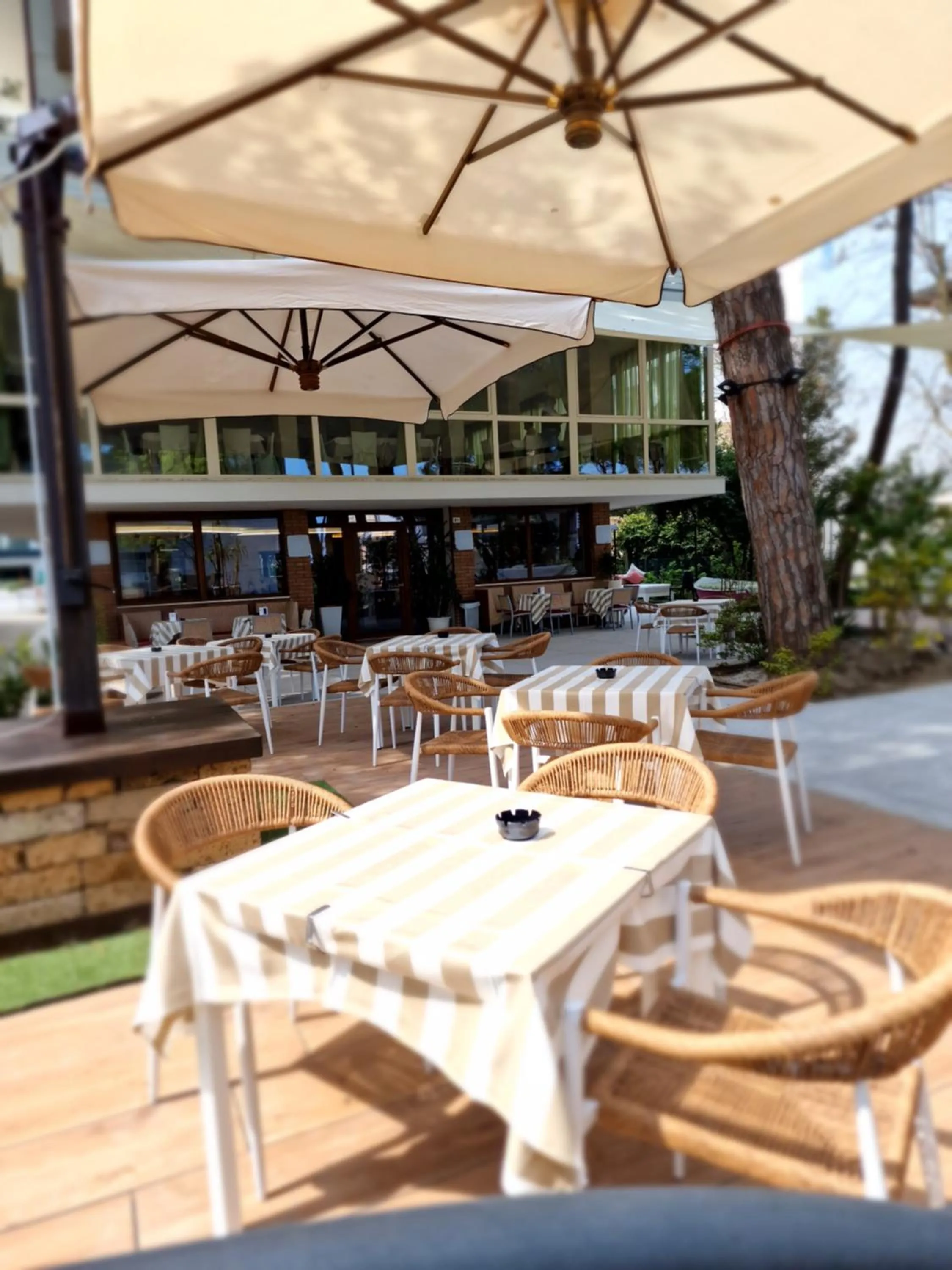 Garden in Hotel Deborah