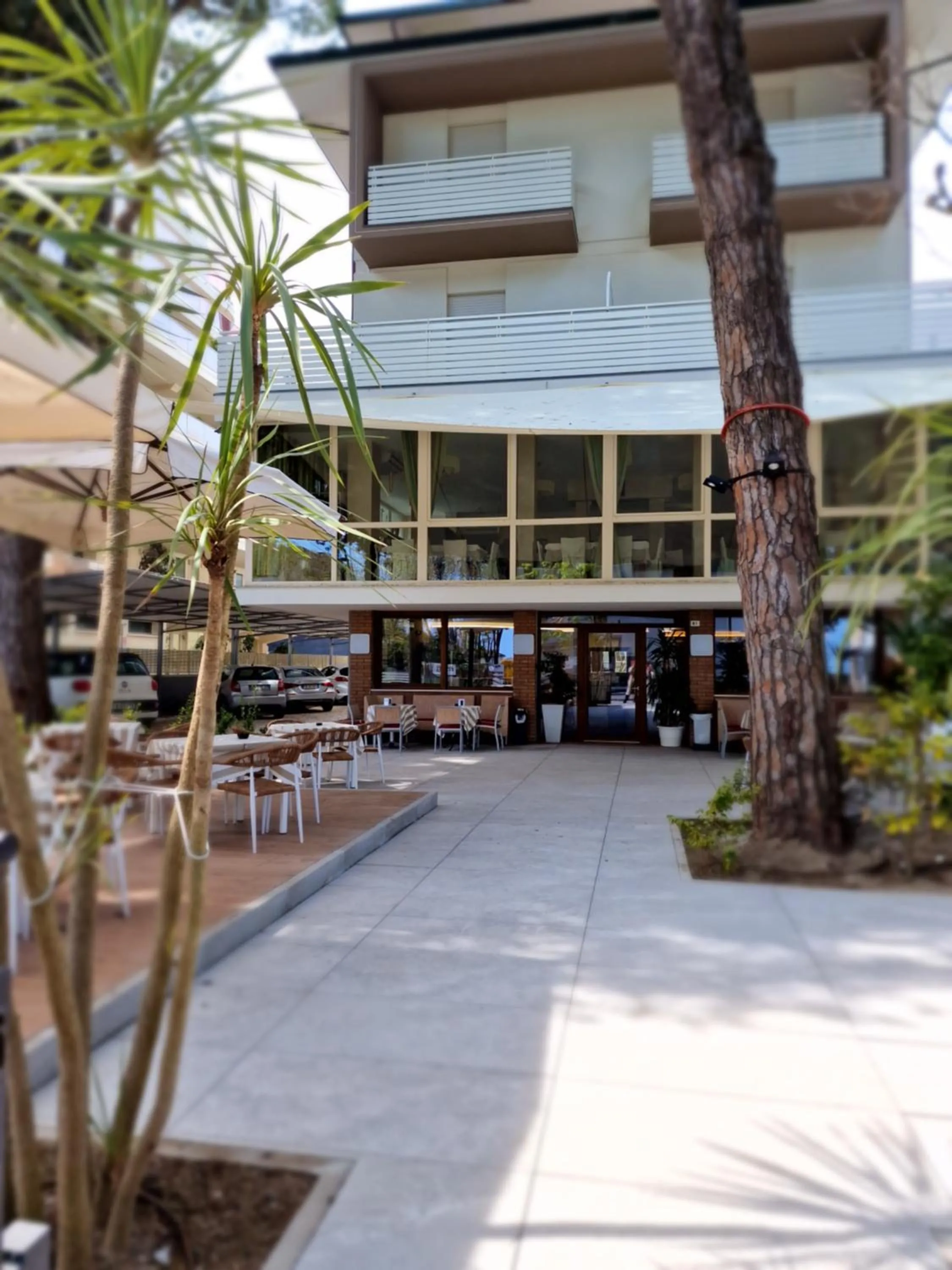 Garden in Hotel Deborah