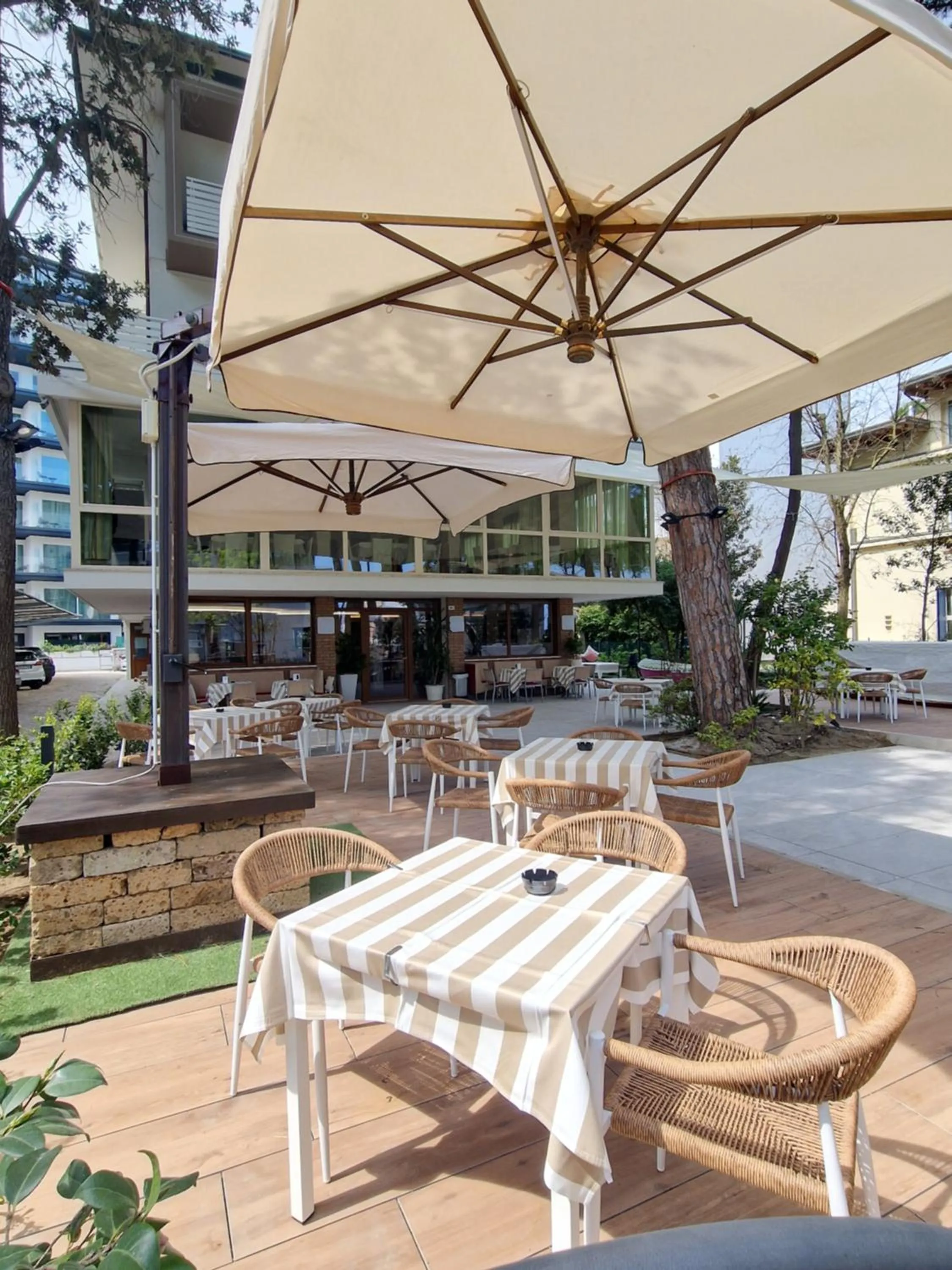 Garden in Hotel Deborah