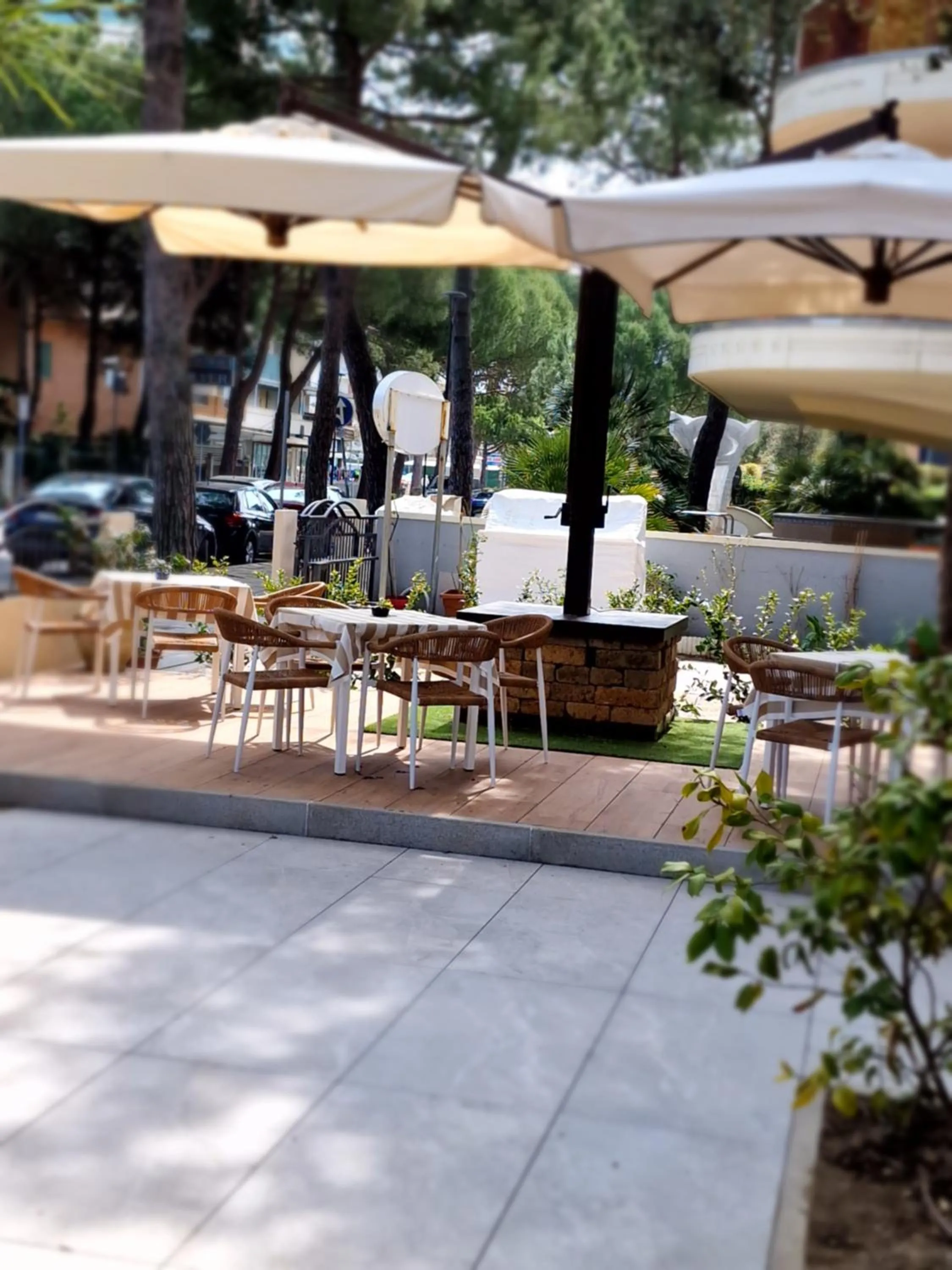 Garden in Hotel Deborah