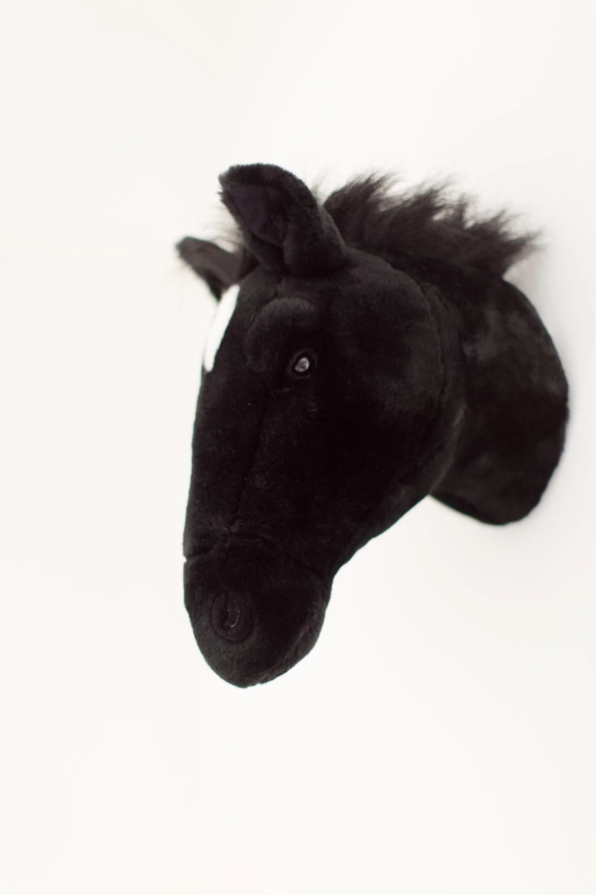 Decorative detail in Esperanto