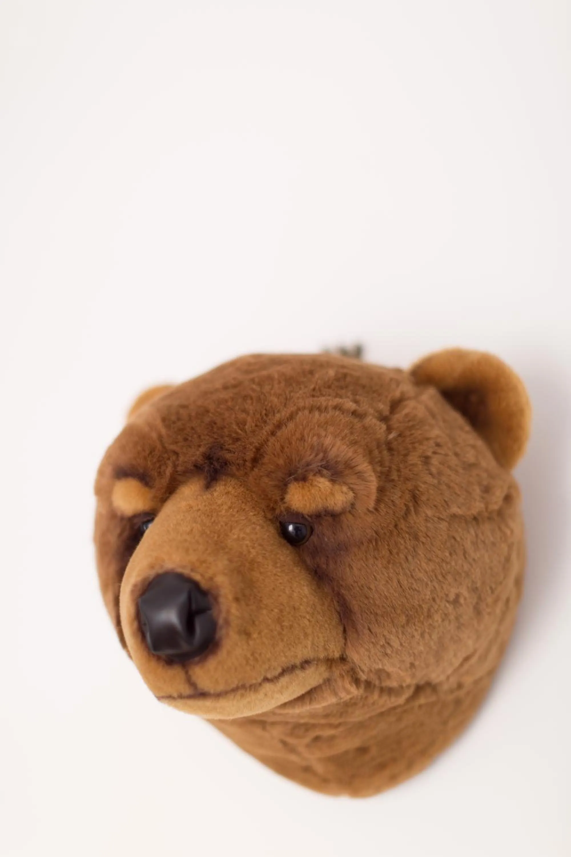 Decorative detail in Esperanto