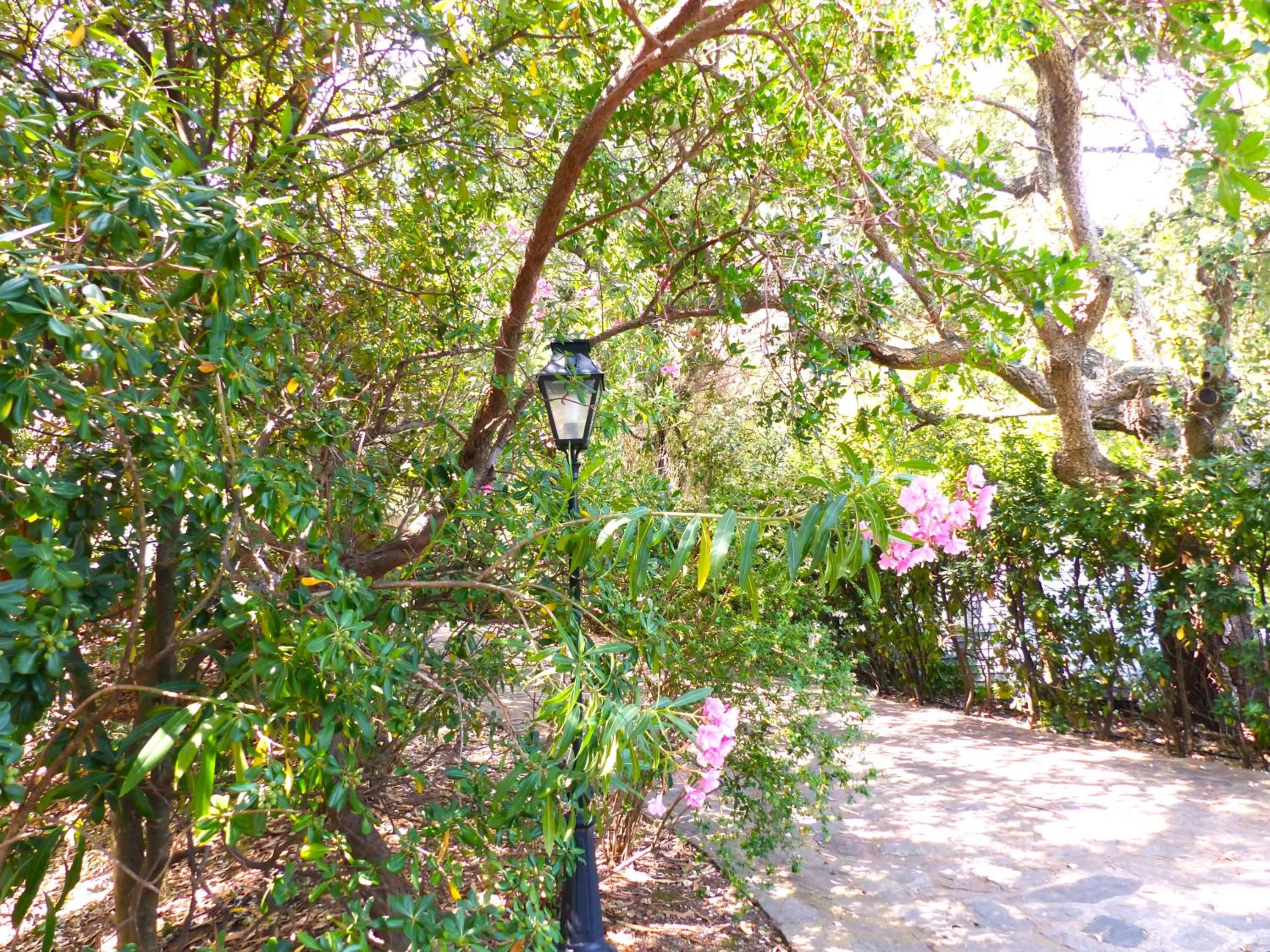 Garden in Hôtel Cap Soleil