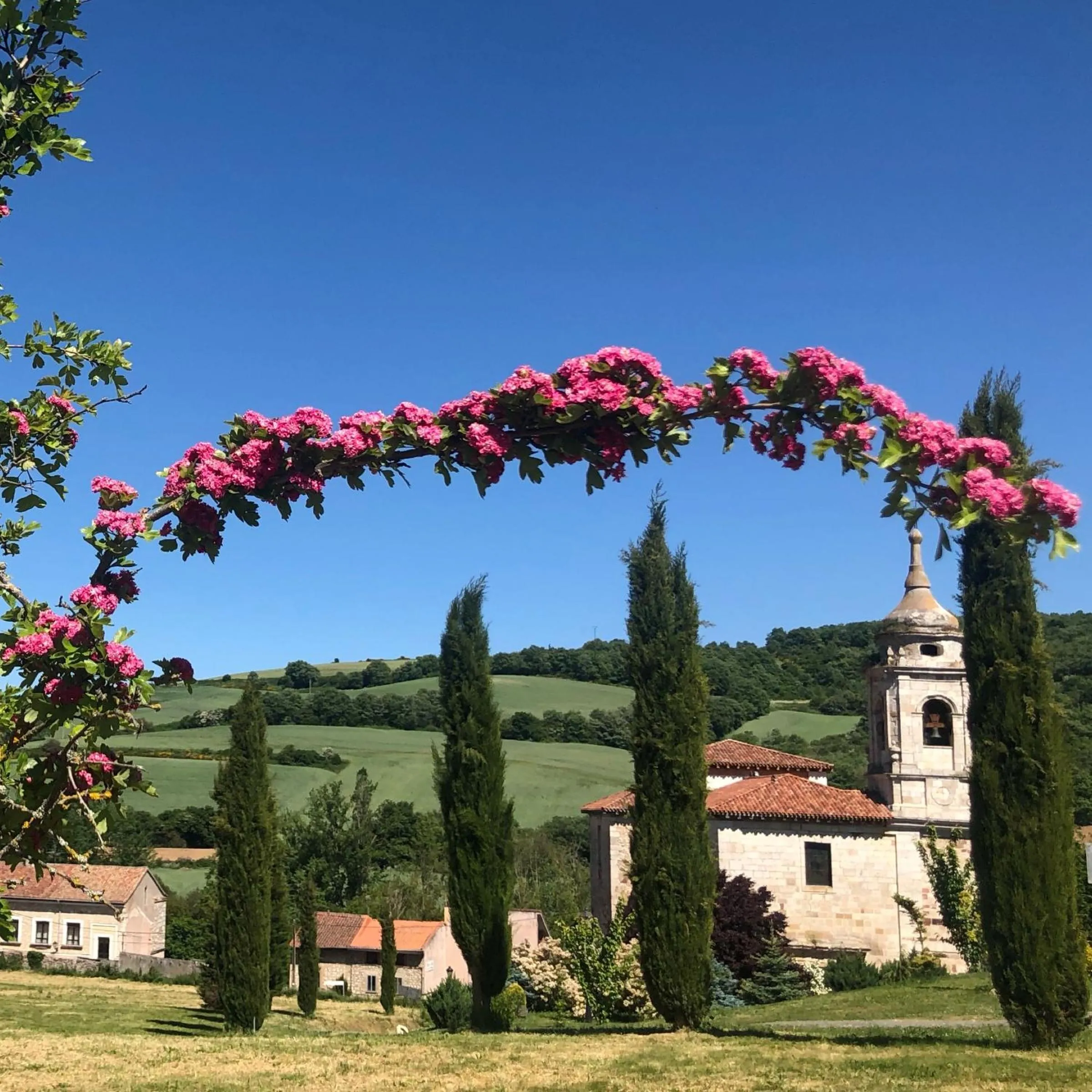 Garden in Hotel San Antón Abad