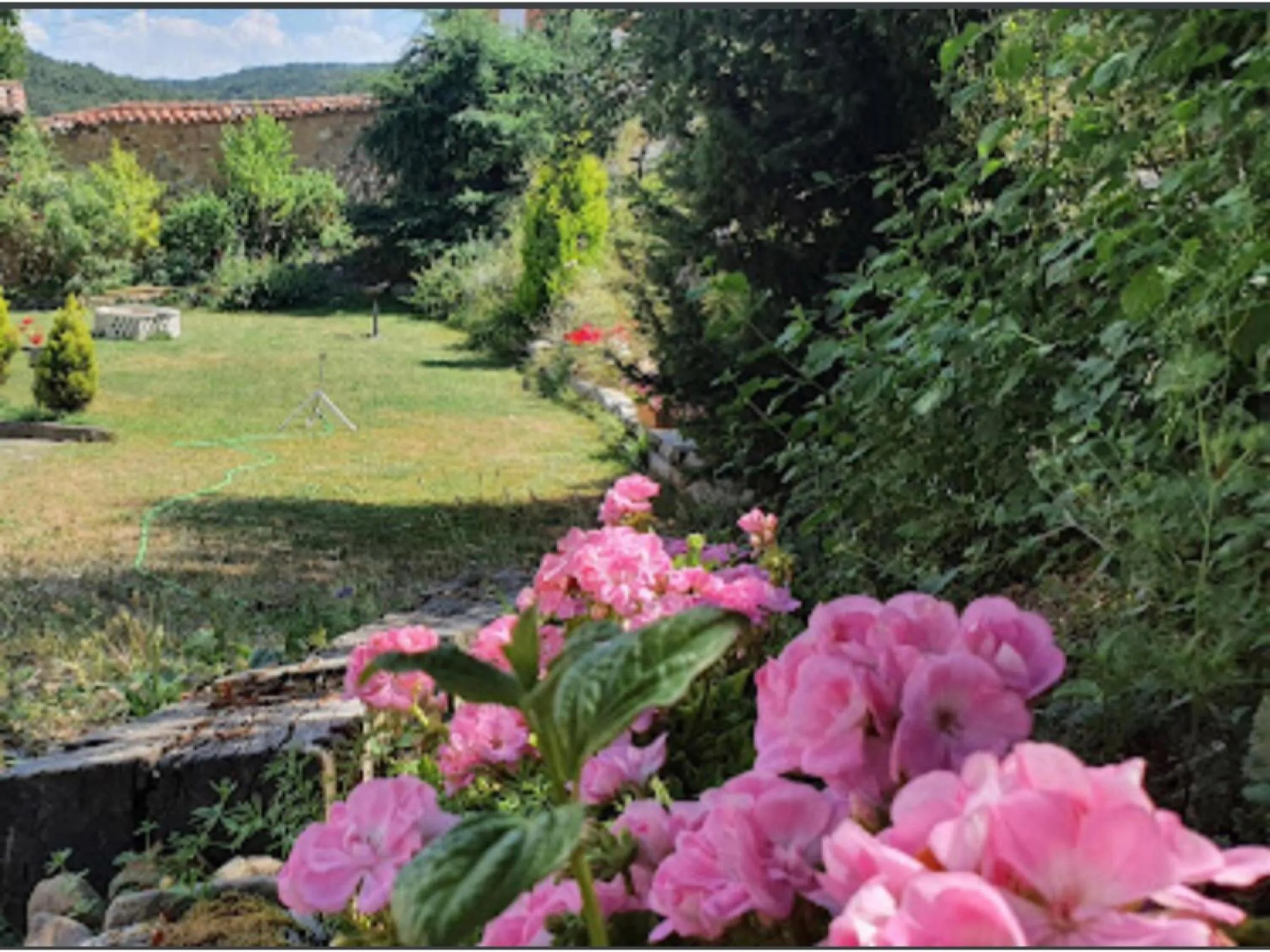 Garden in Hotel San Antón Abad
