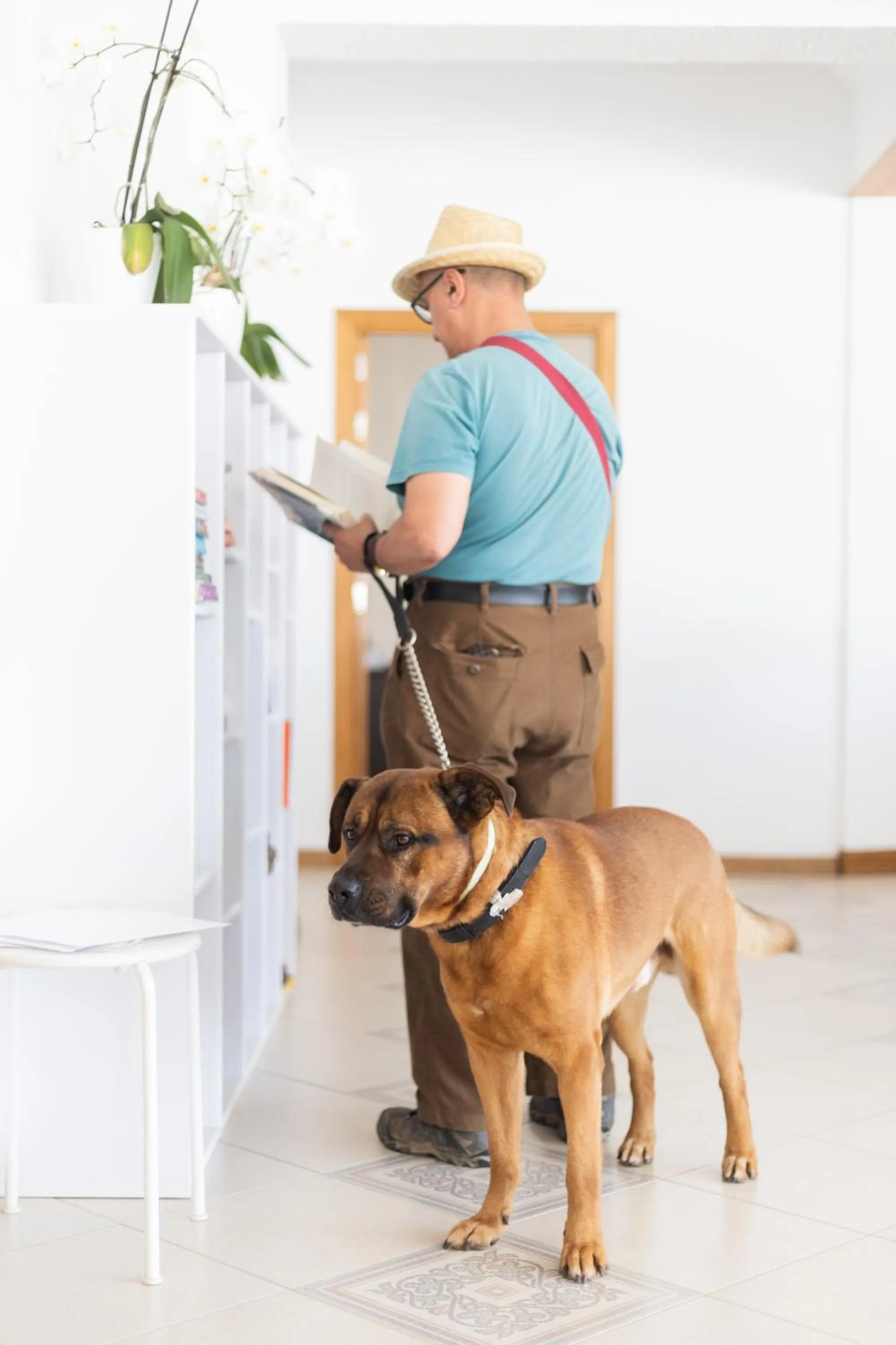 Lobby or reception in Dunas do Alvor - Torralvor