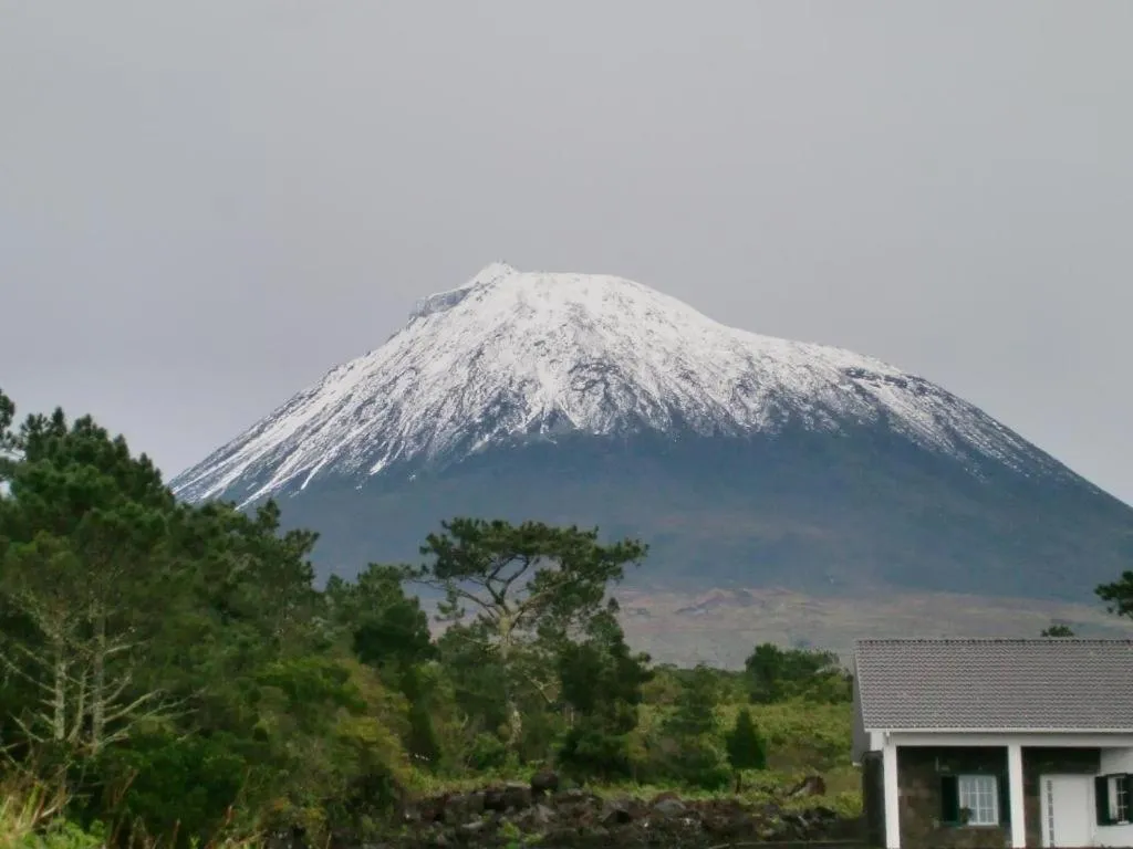 Moradia Familiar NovaVista - T3