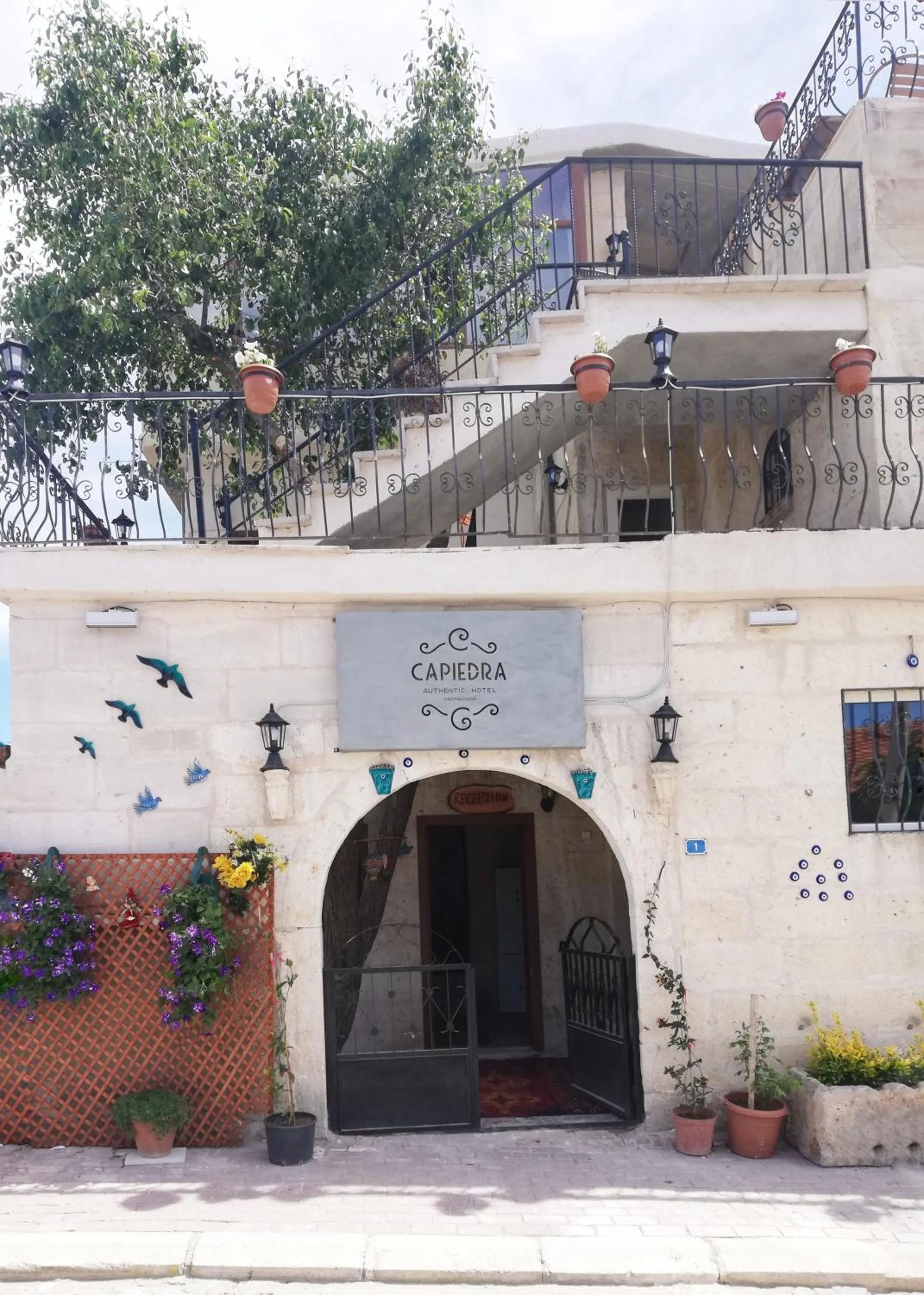 Property building in Capiedra Hotel