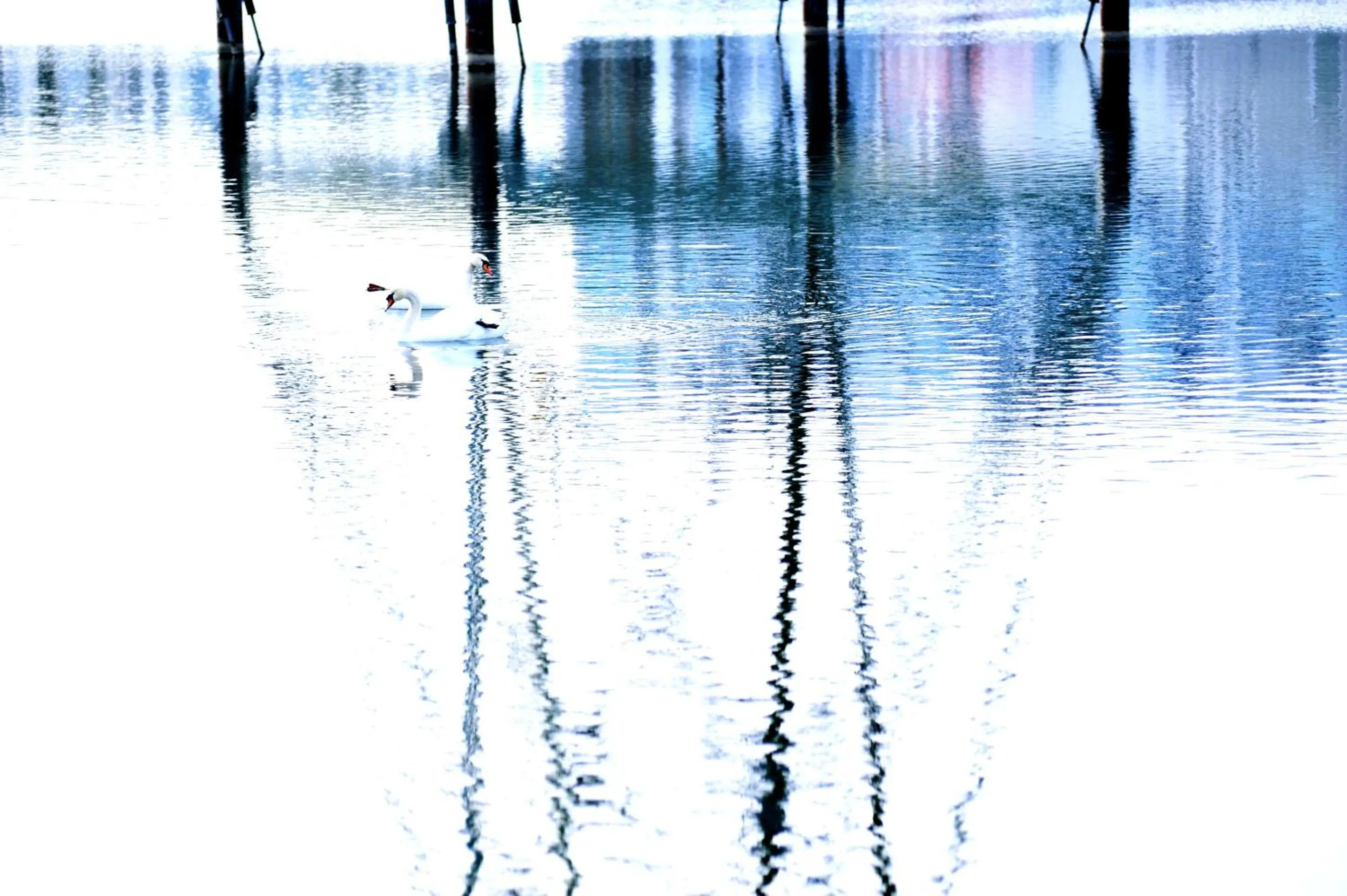 Lake view in La Corte Sconta B&B