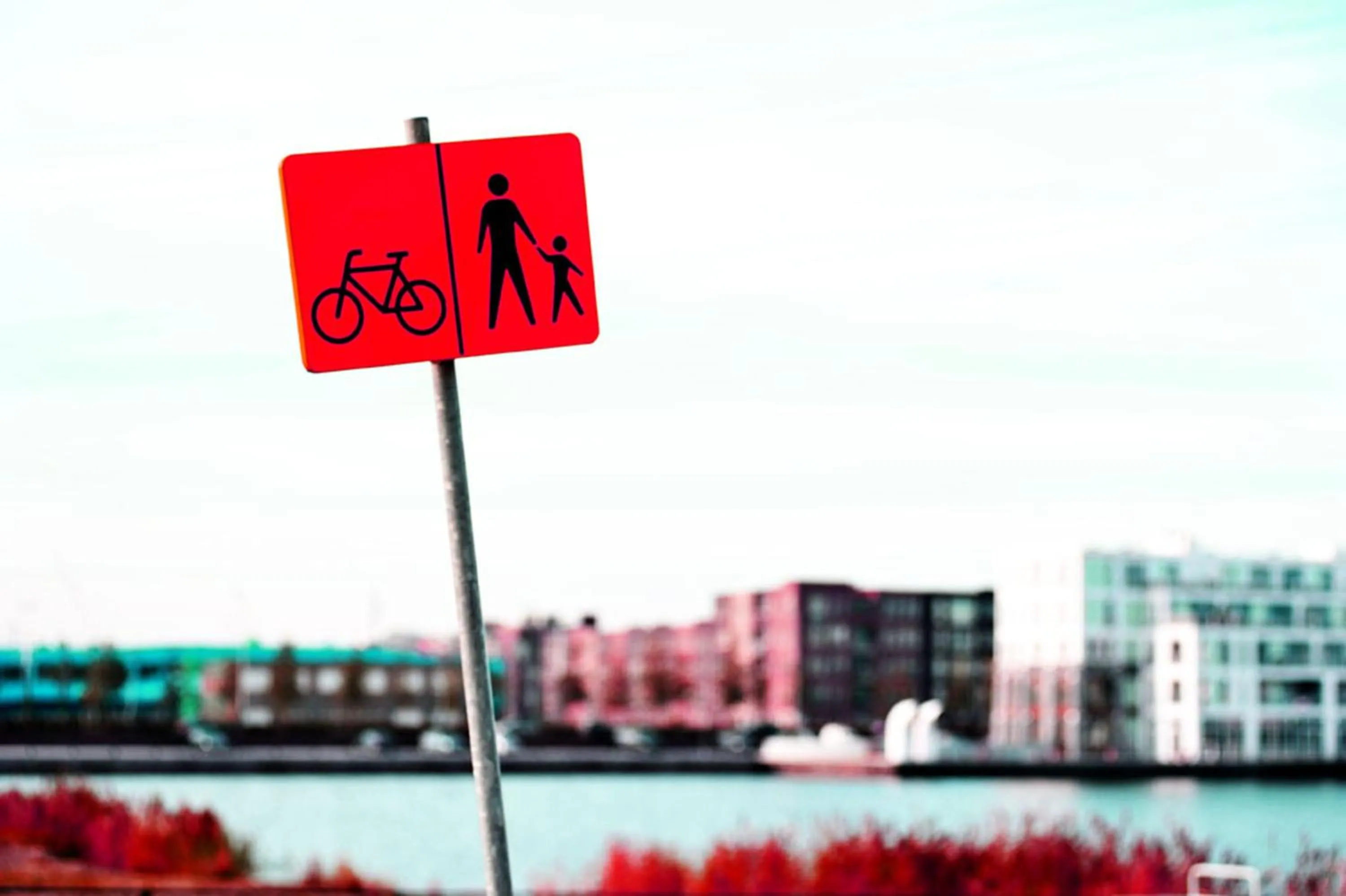 Neighbourhood in La Corte Sconta B&B