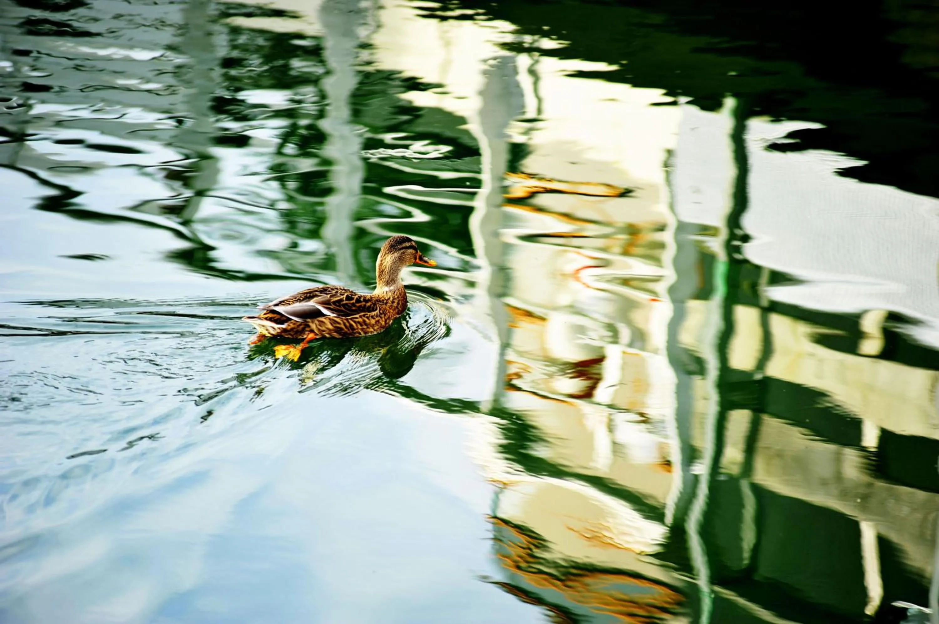 Neighbourhood in La Corte Sconta B&B