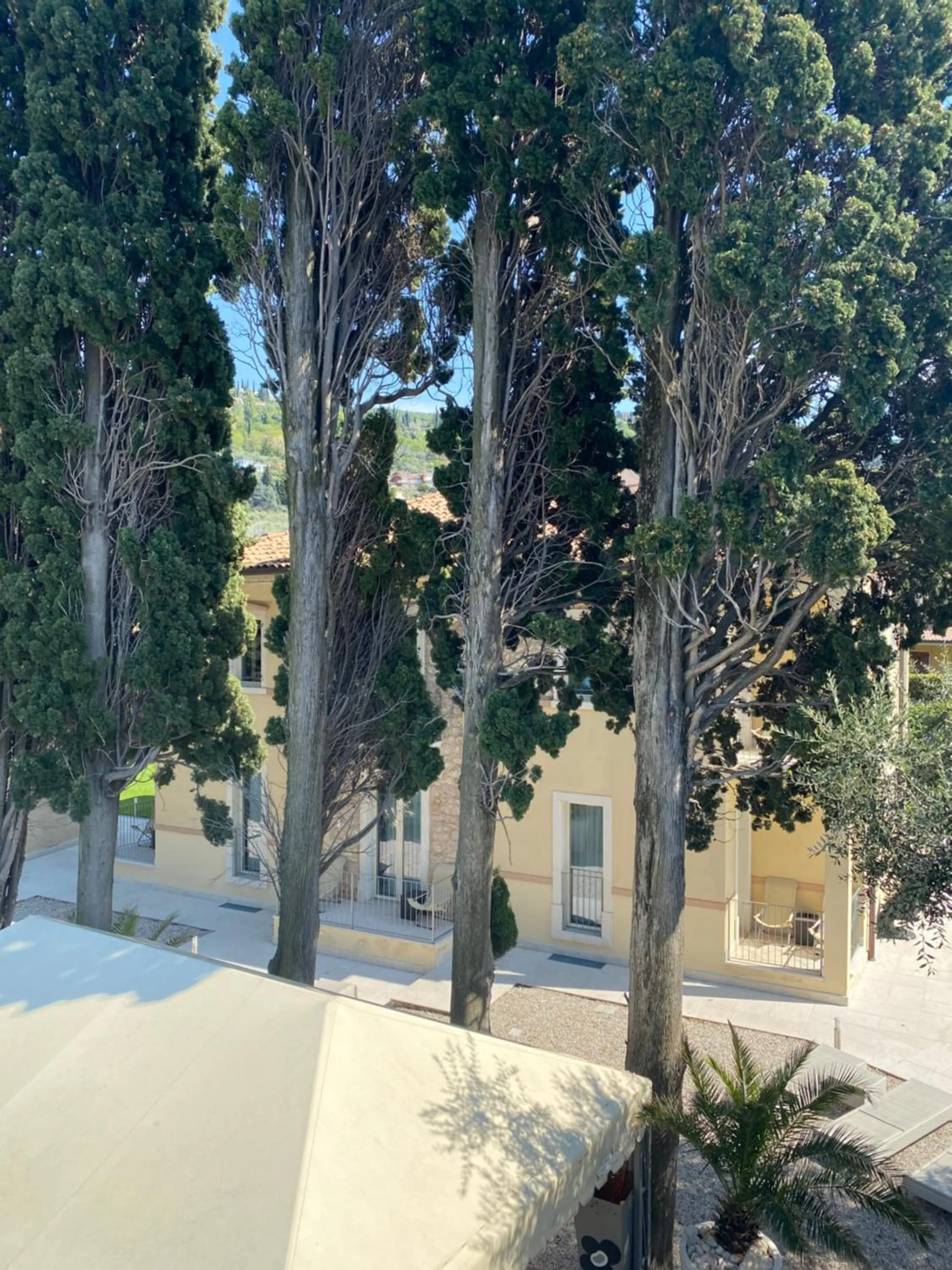 View (from property/room) in Hotel Baia dei Pini