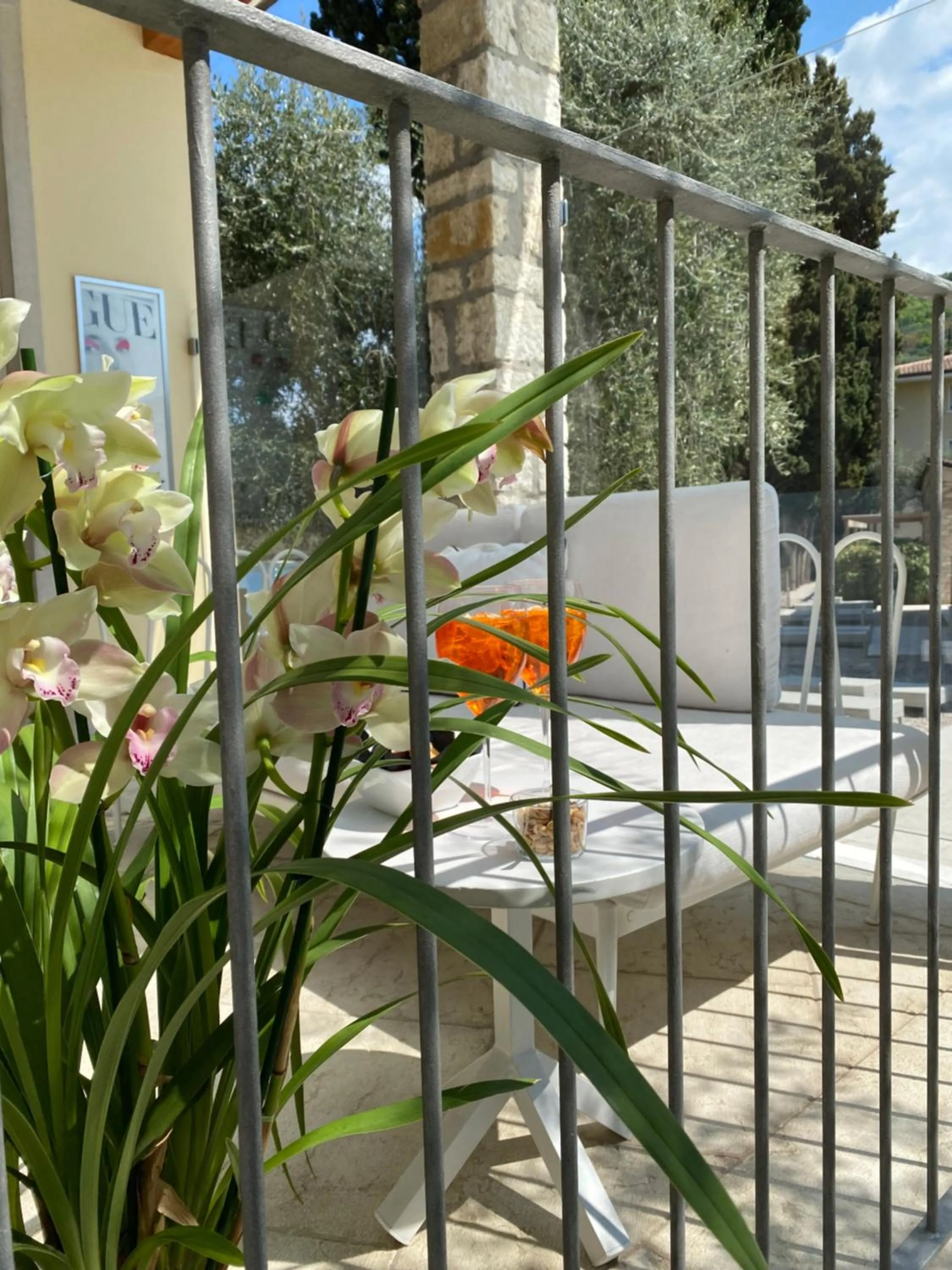 Balcony/Terrace in Hotel Baia dei Pini