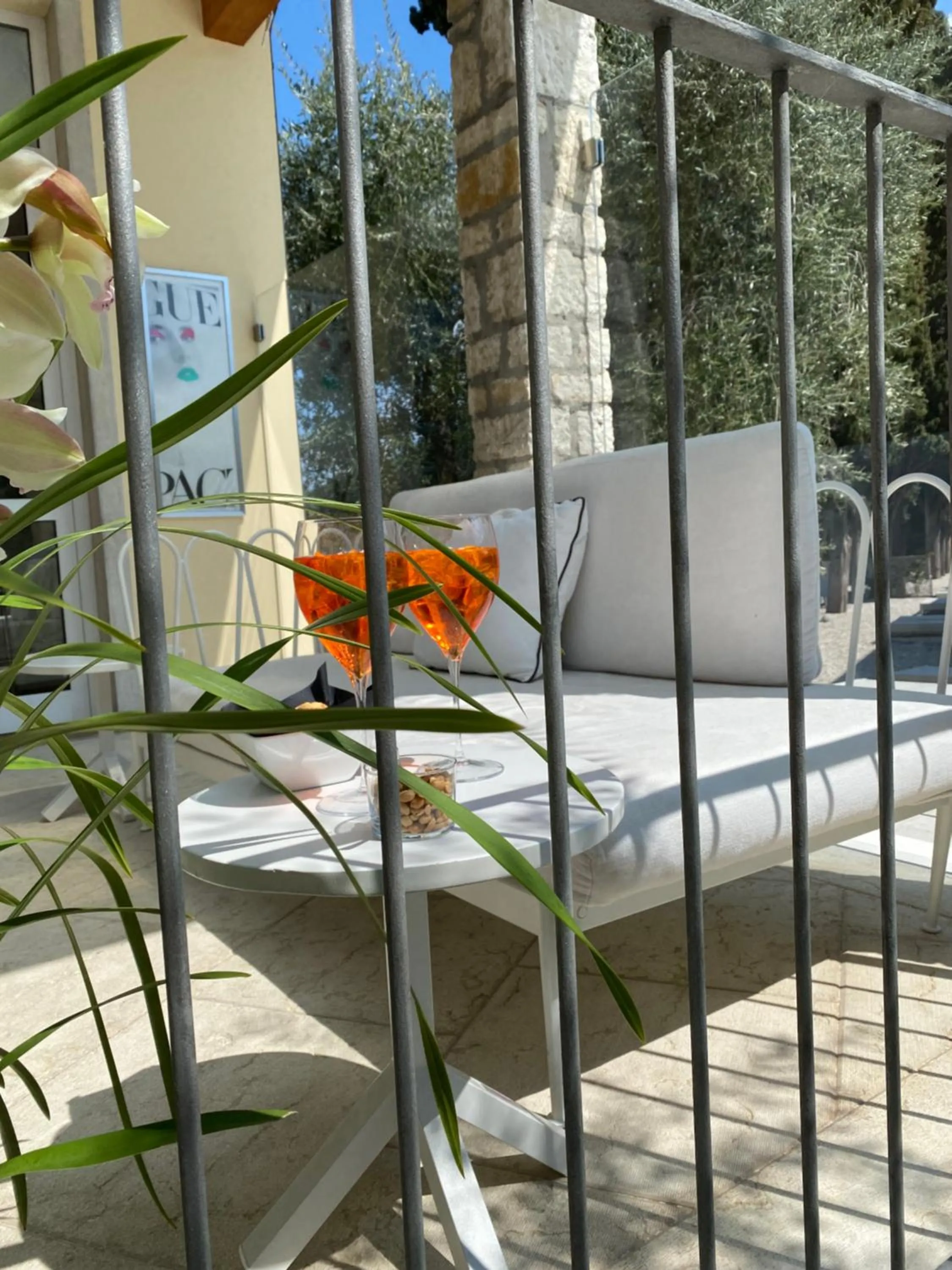 Drinks in Hotel Baia dei Pini