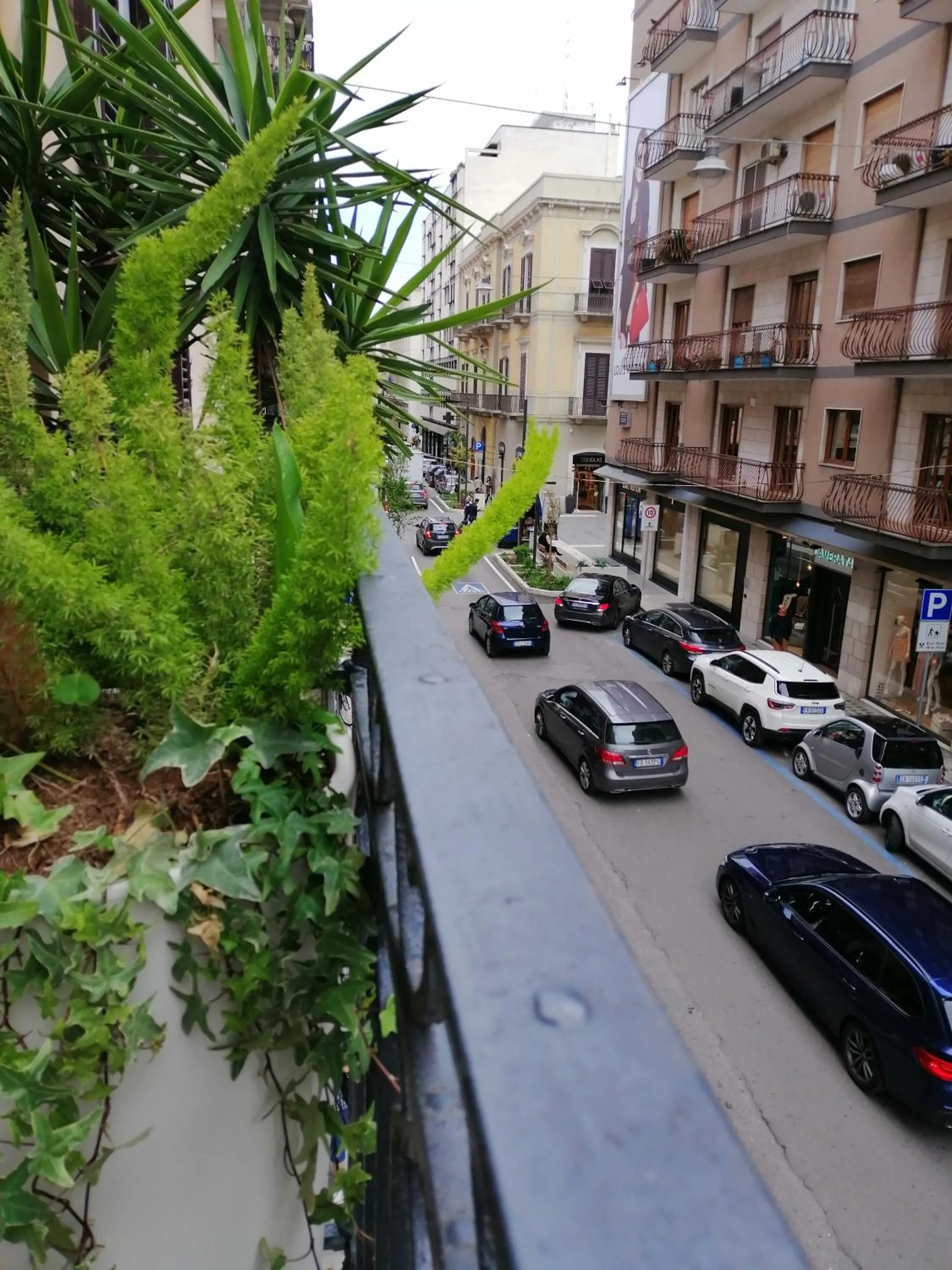 Property building in BARI 102