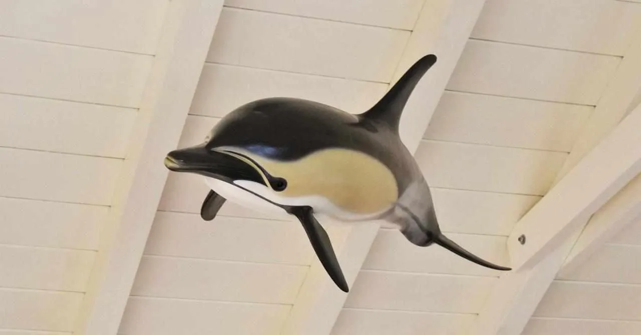 Living room in Quinta da Meia Eira