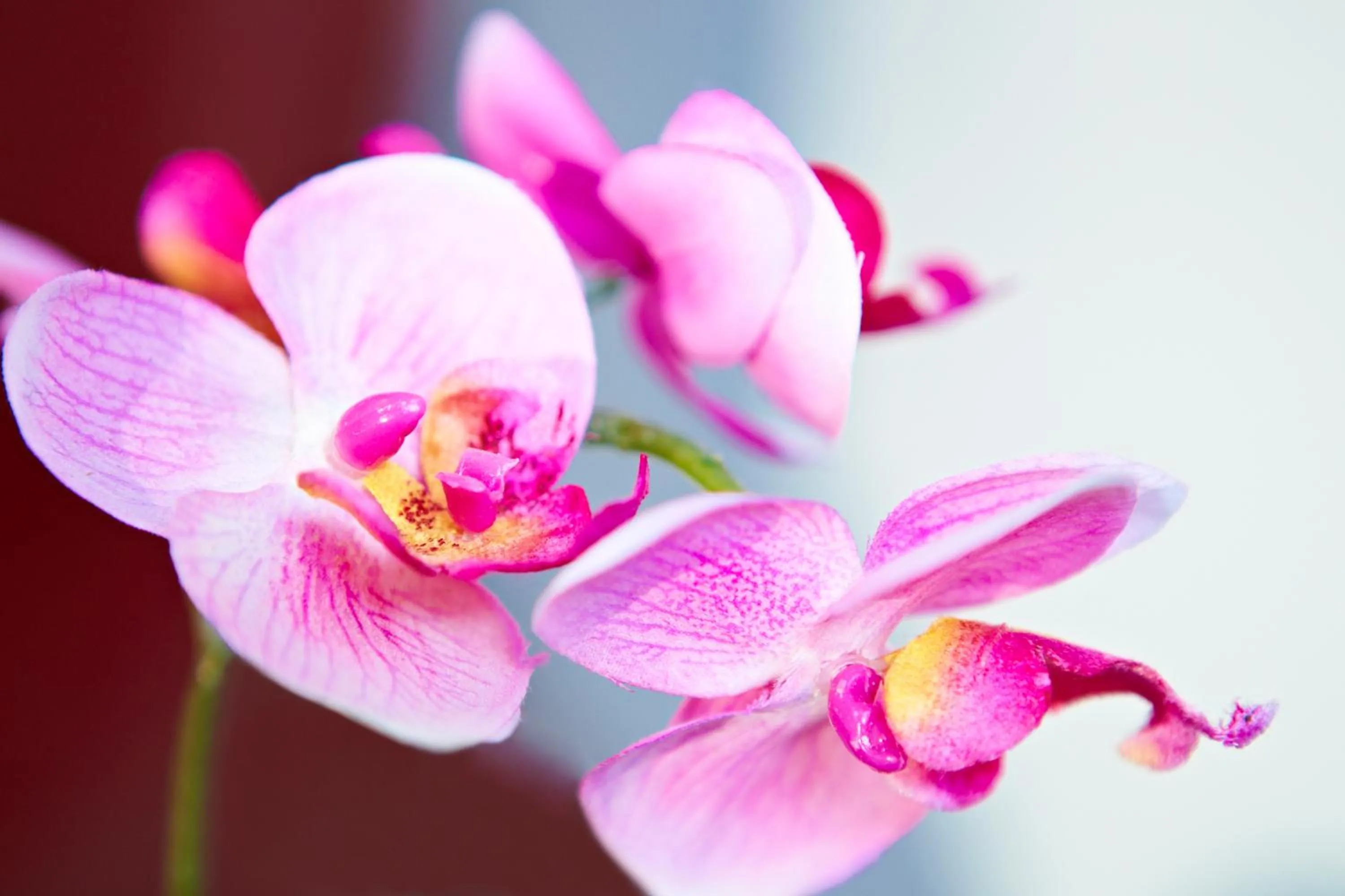 Decorative detail in Hotel Altes Gasthaus Schröer