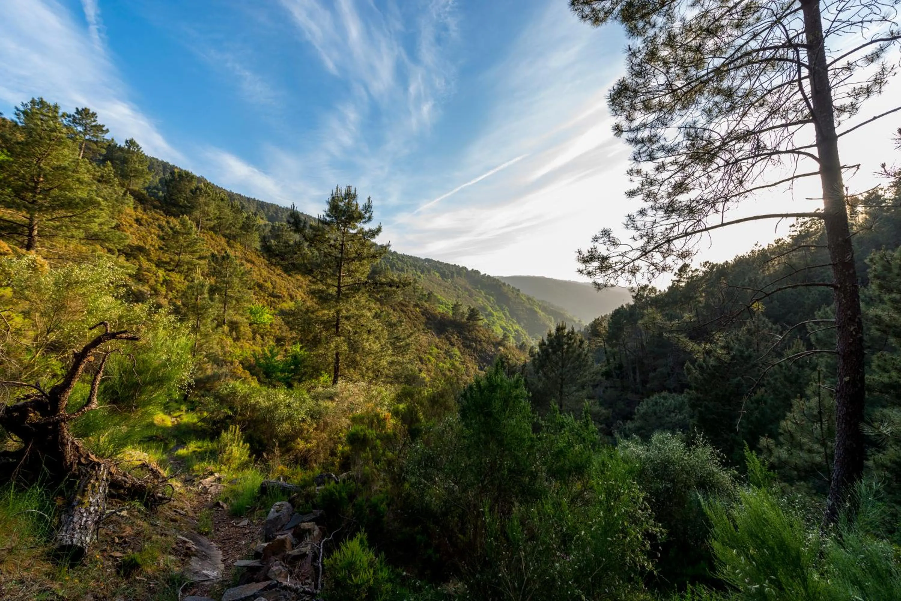 Natural landscape in Cerdeira - Home for Creativity