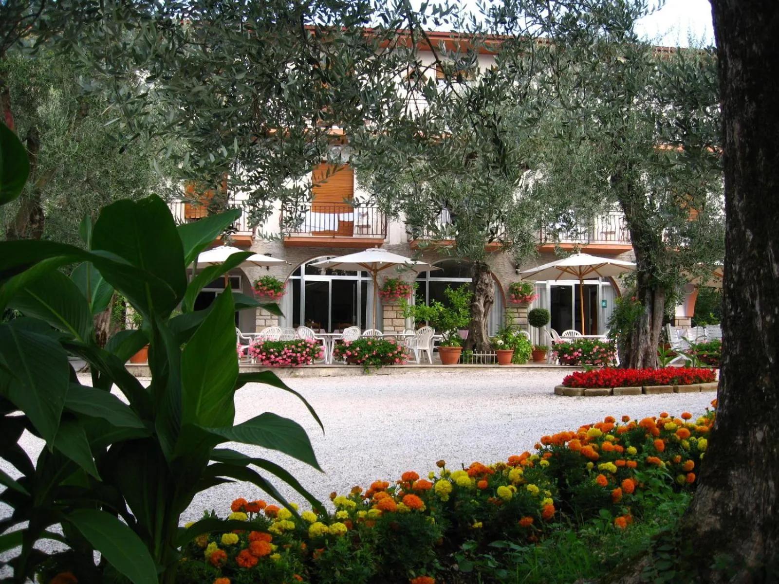 Balcony/Terrace in Hotel Zanetti