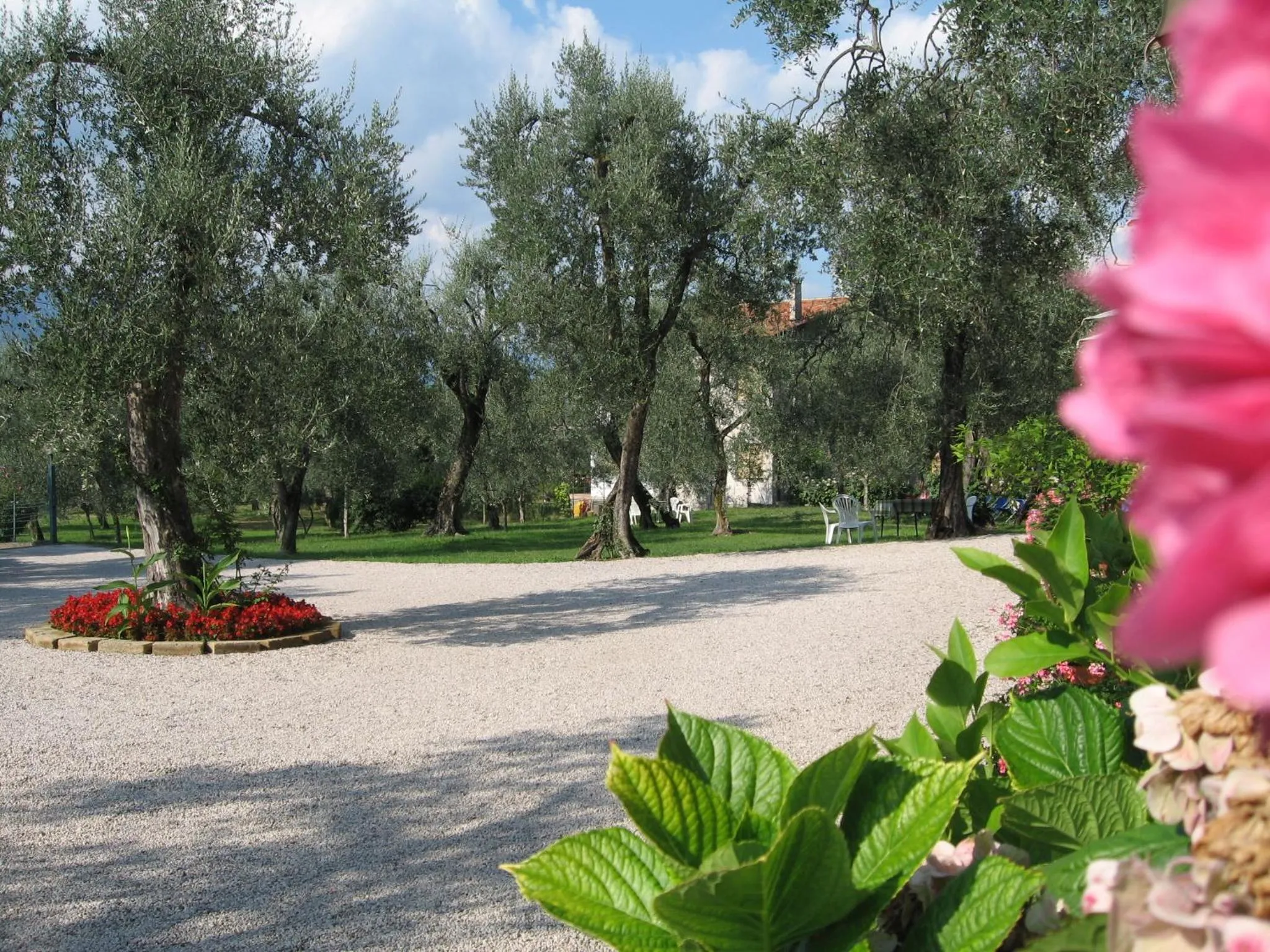 Garden in Hotel Zanetti