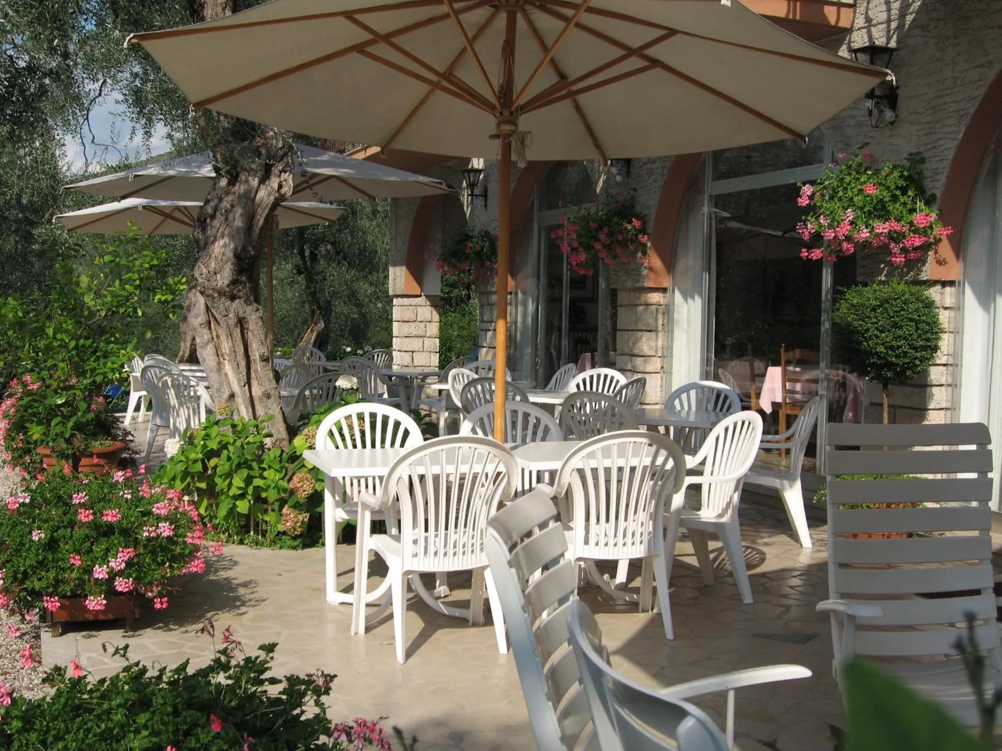 Balcony/Terrace in Hotel Zanetti